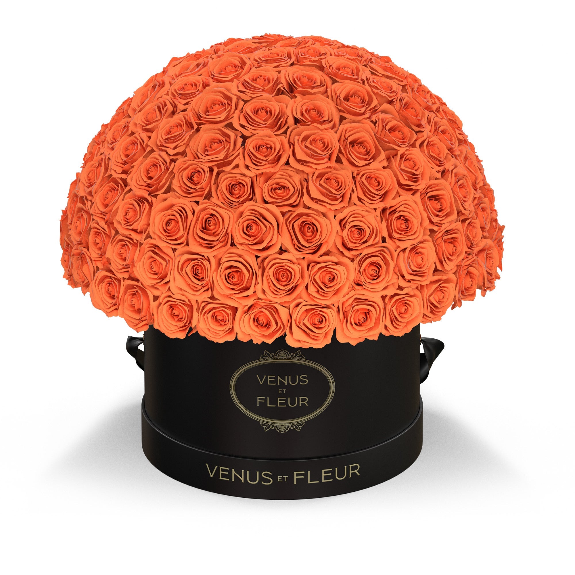 leplein-blackclassic-roses-papaya.jpg