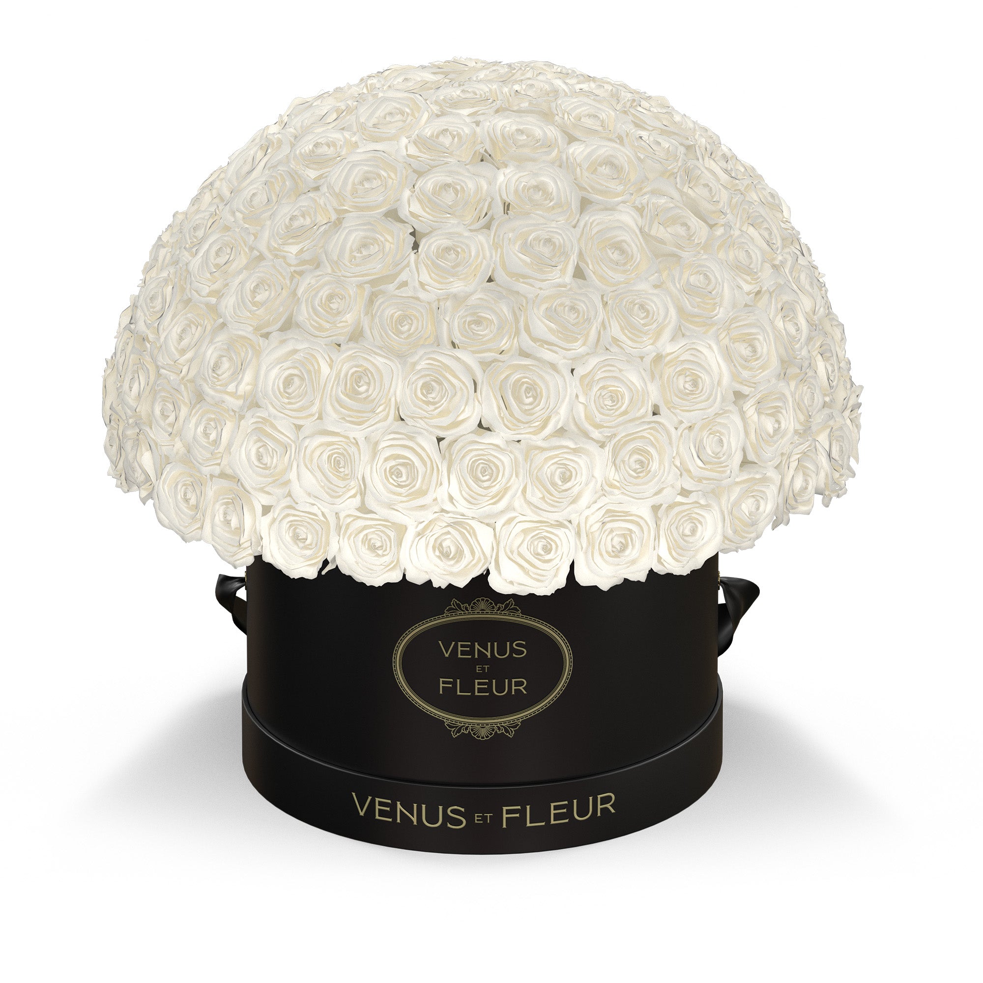 leplein-blackclassic-roses-purewhite.jpg