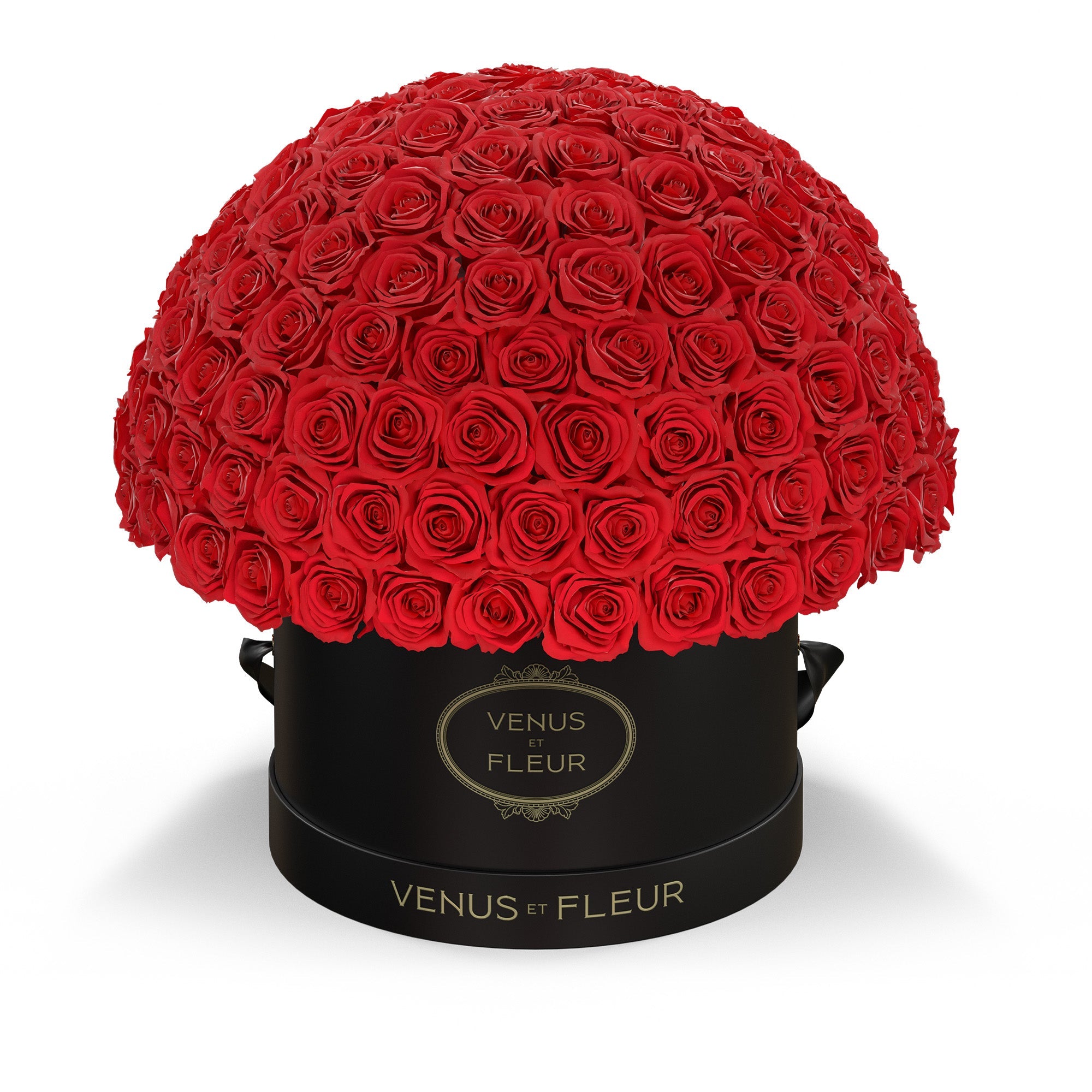 leplein-blackclassic-roses-red.jpg