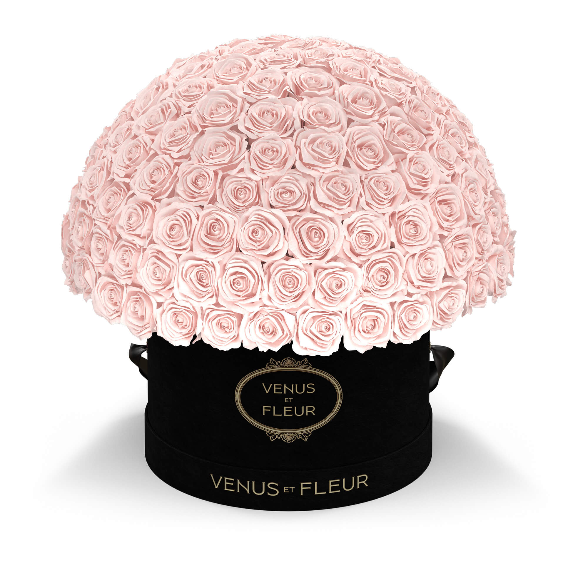 leplein-blacksuede-roses-blush.jpg