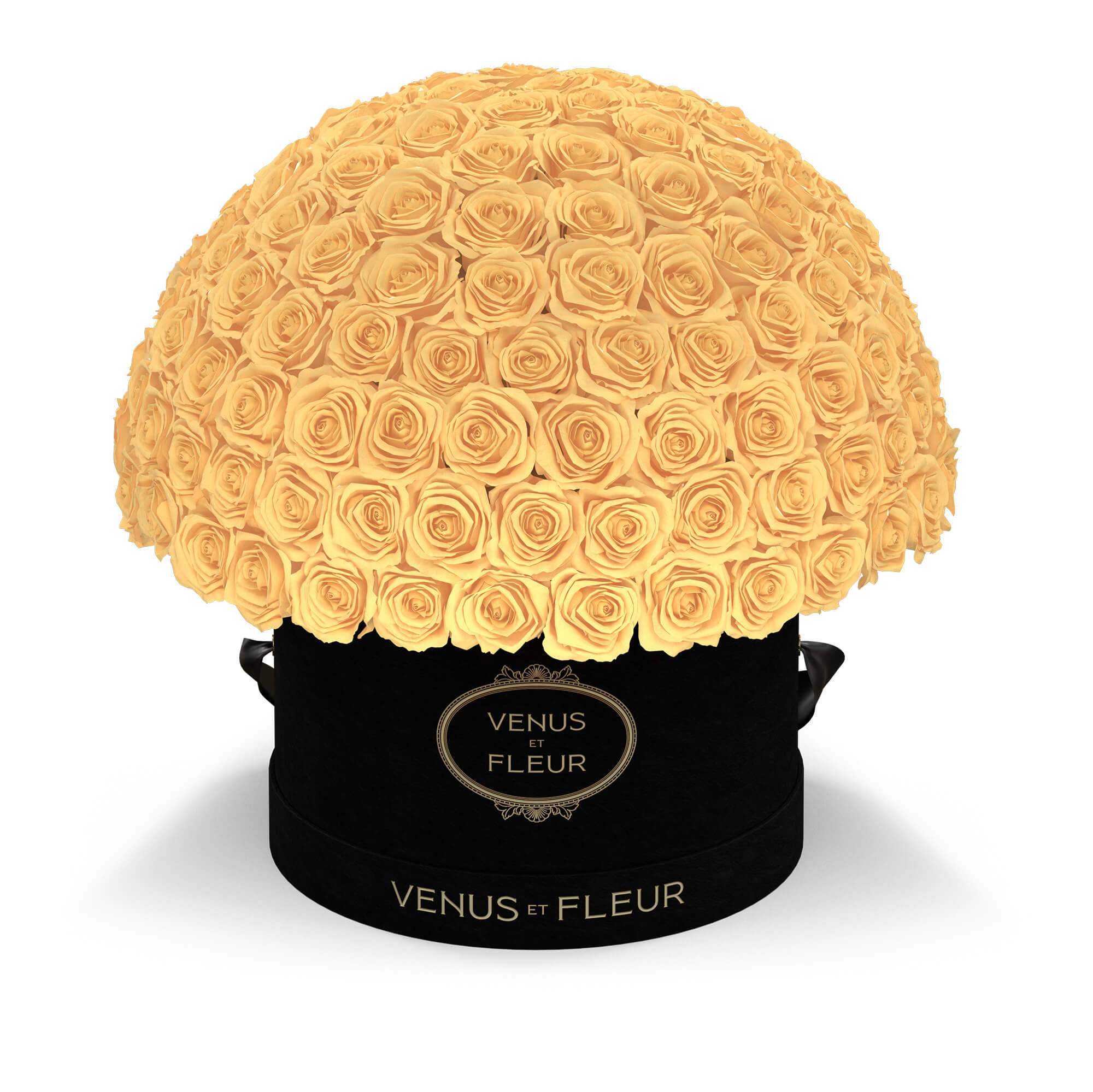 leplein-blacksuede-roses-champagne.jpg