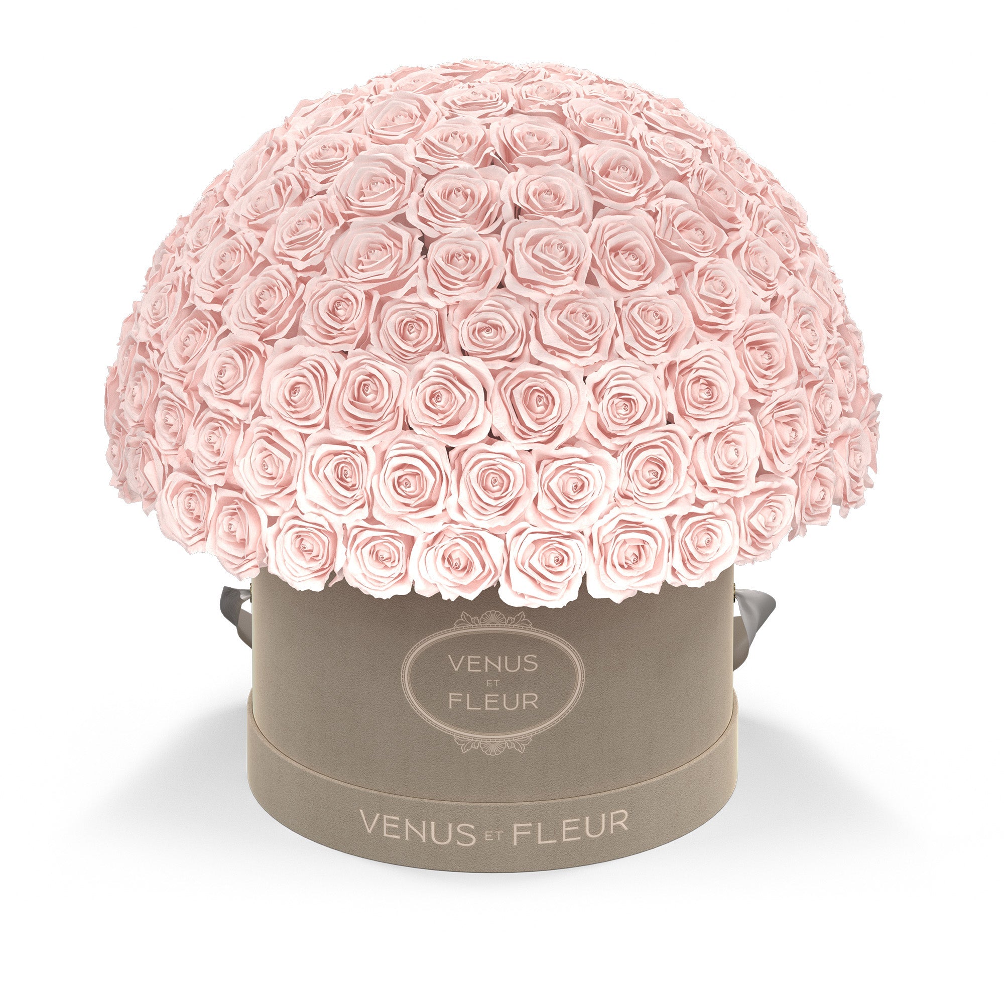 leplein-creamsuede-roses-blush.jpg