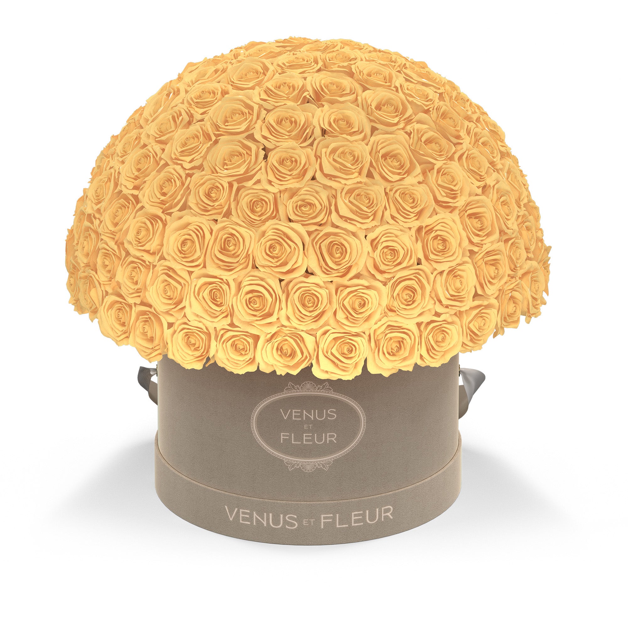 leplein-creamsuede-roses-champagne.jpg