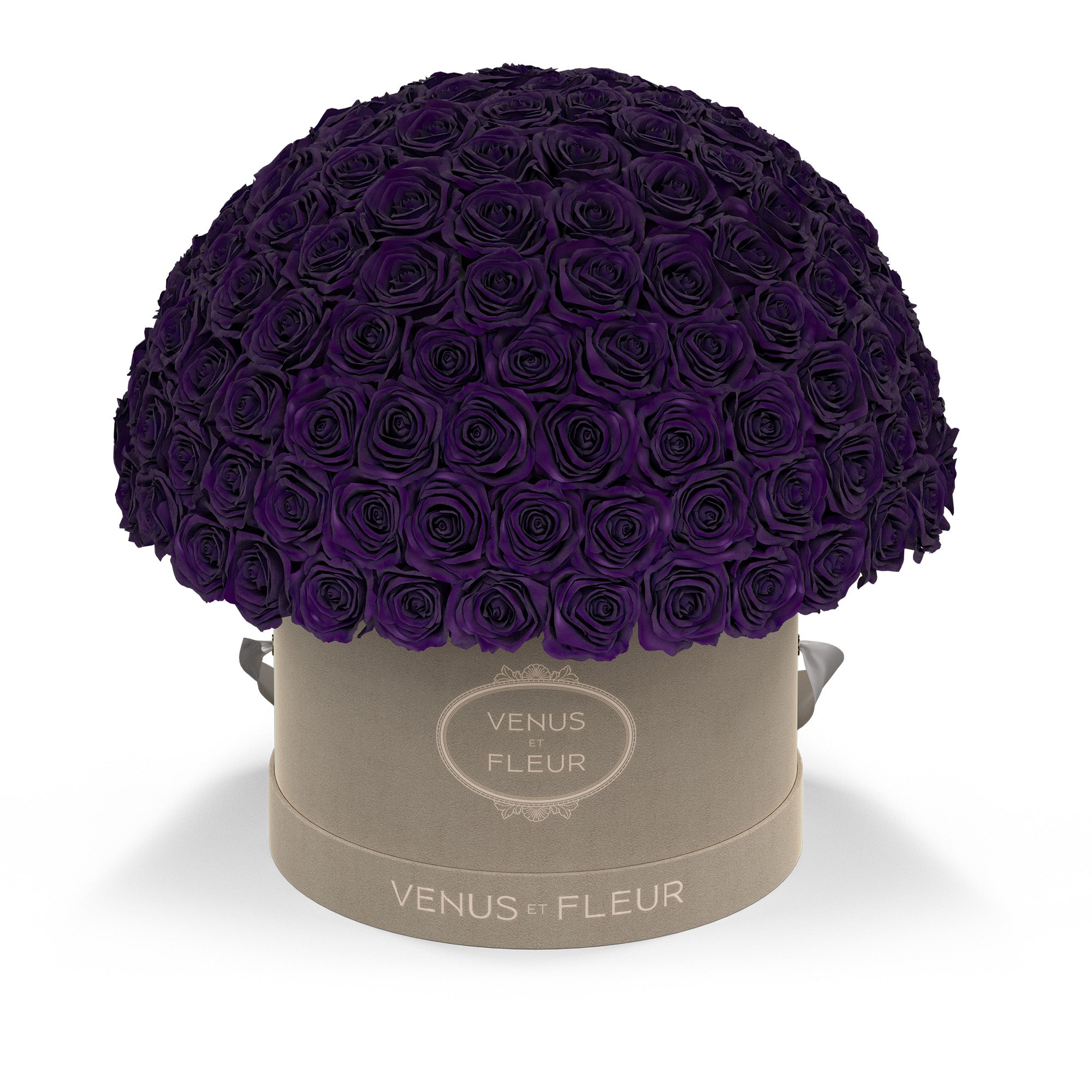 leplein-creamsuede-roses-deeppurple.jpg