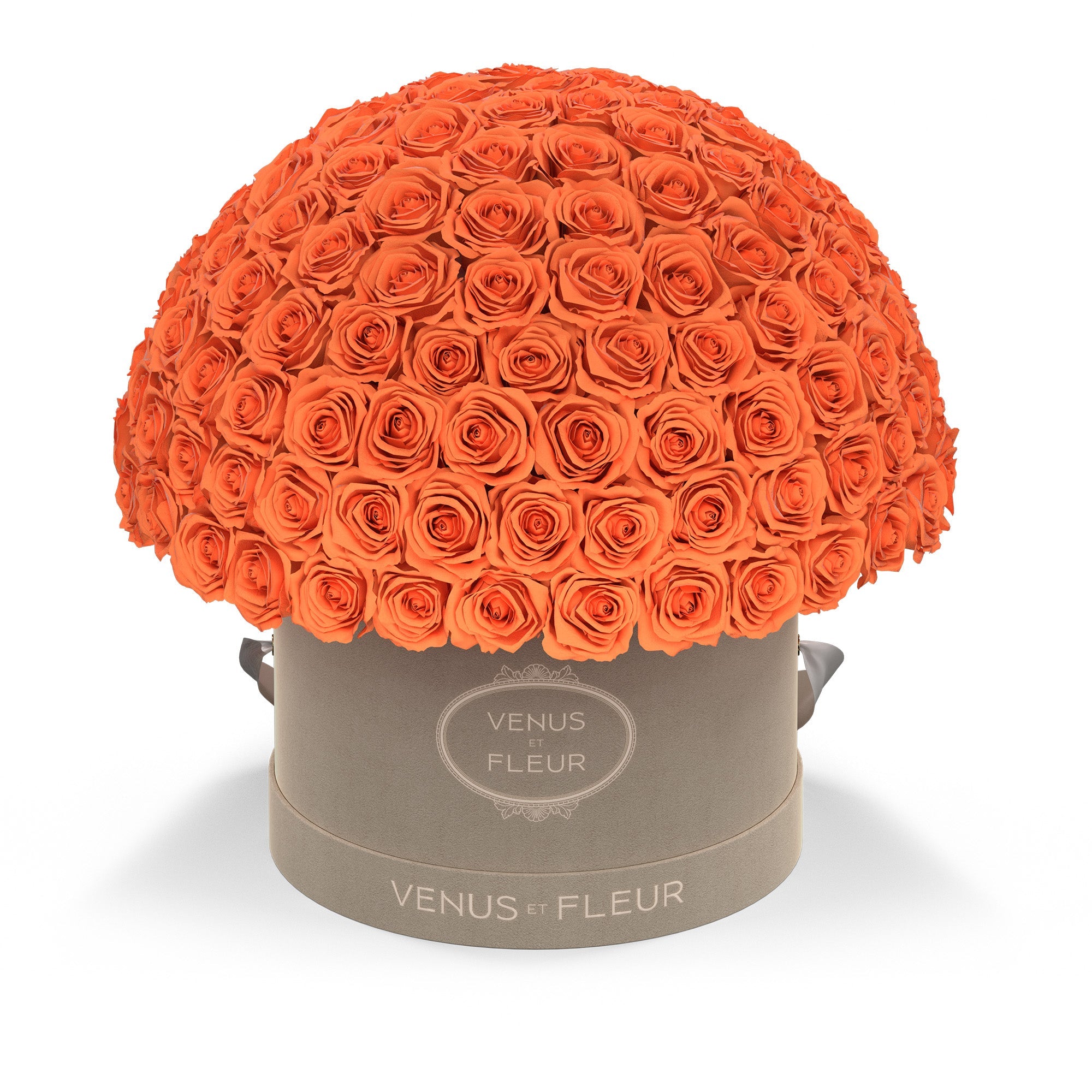leplein-creamsuede-roses-papaya.jpg