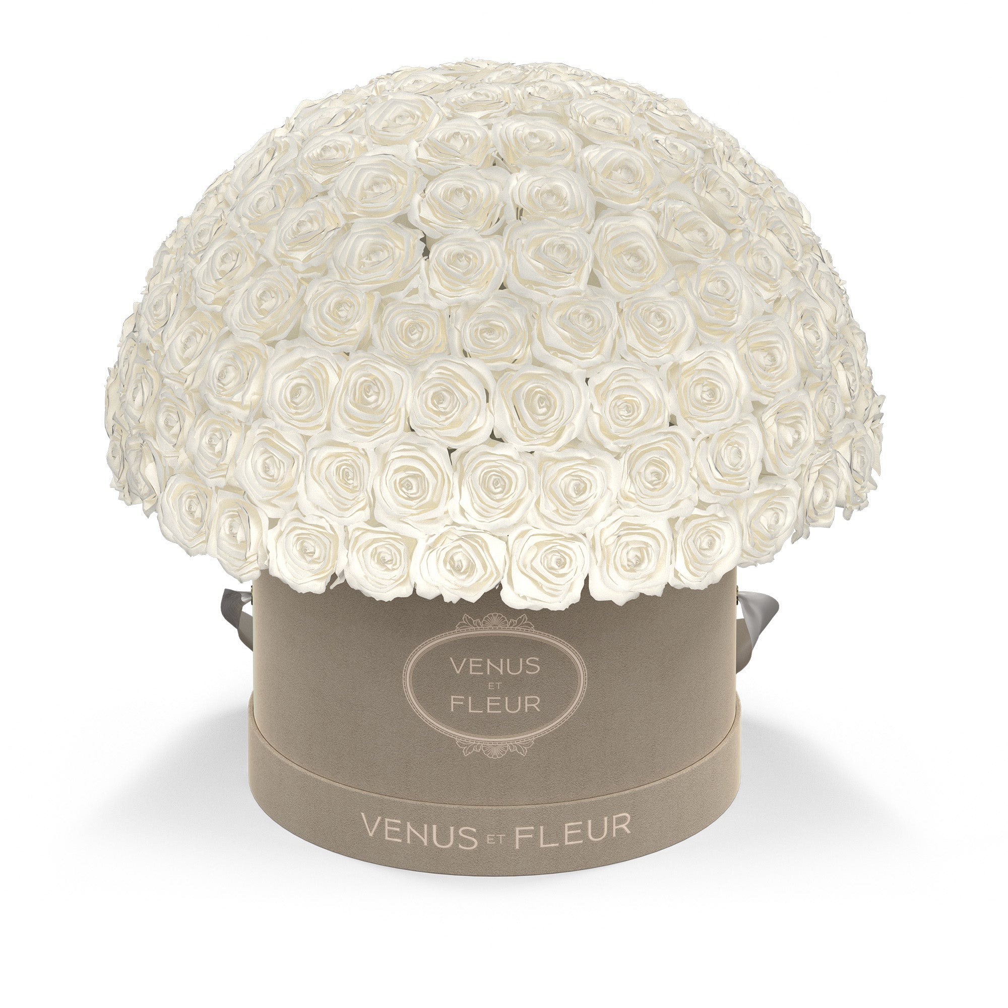 leplein-creamsuede-roses-purewhite.jpg