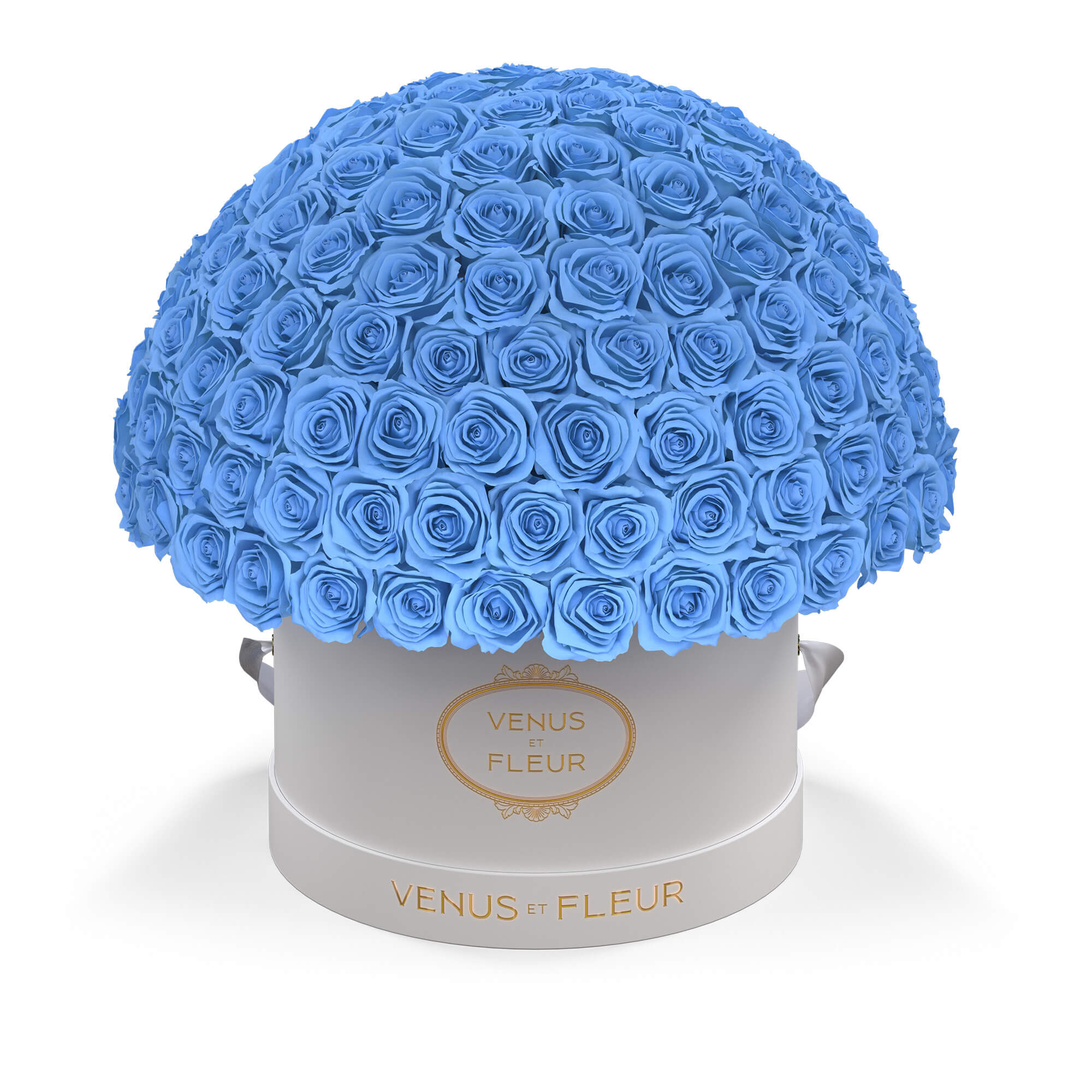 leplein-whiteclassic-roses-babyblue.jpg