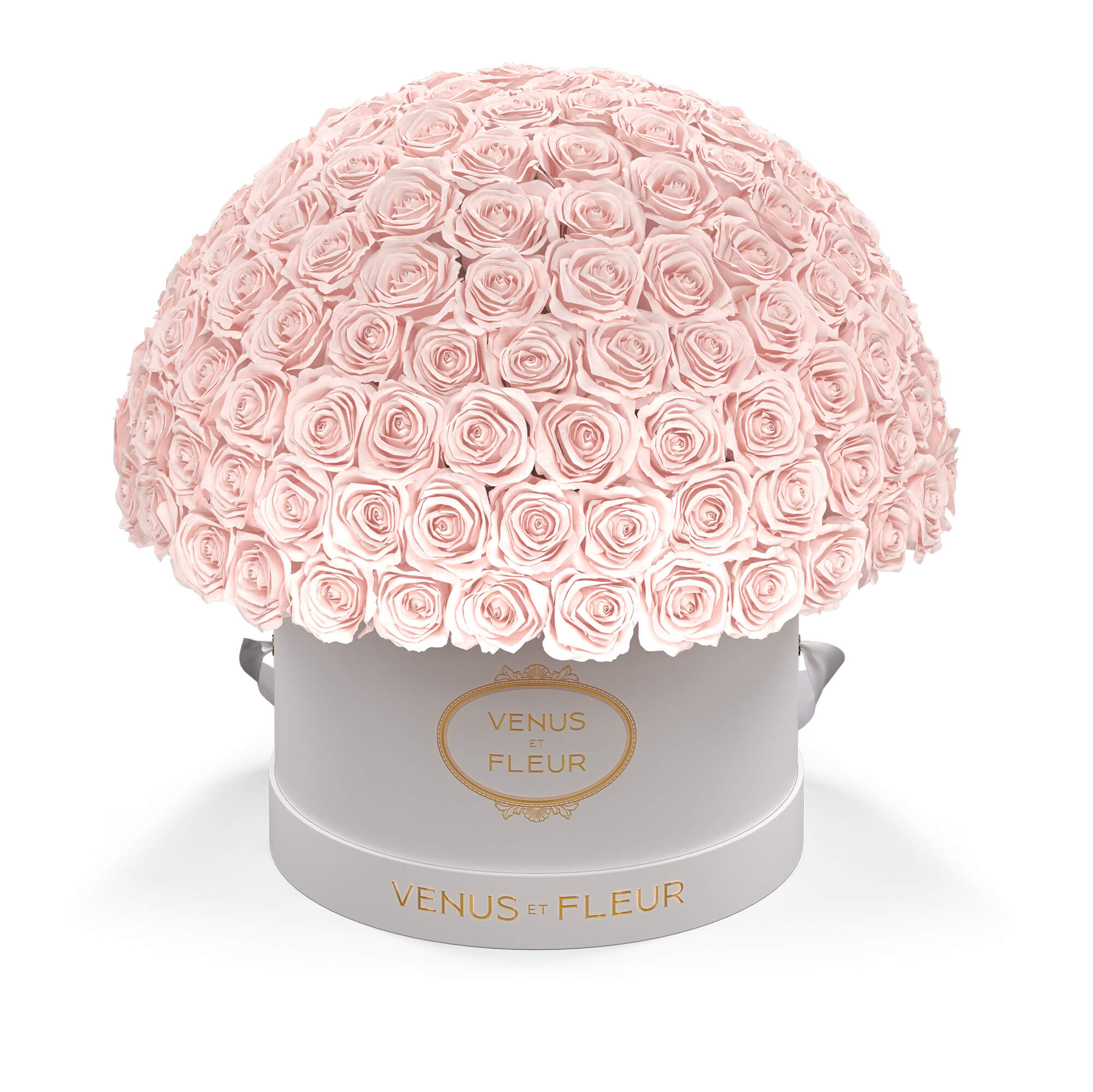 leplein-whiteclassic-roses-blush.jpg