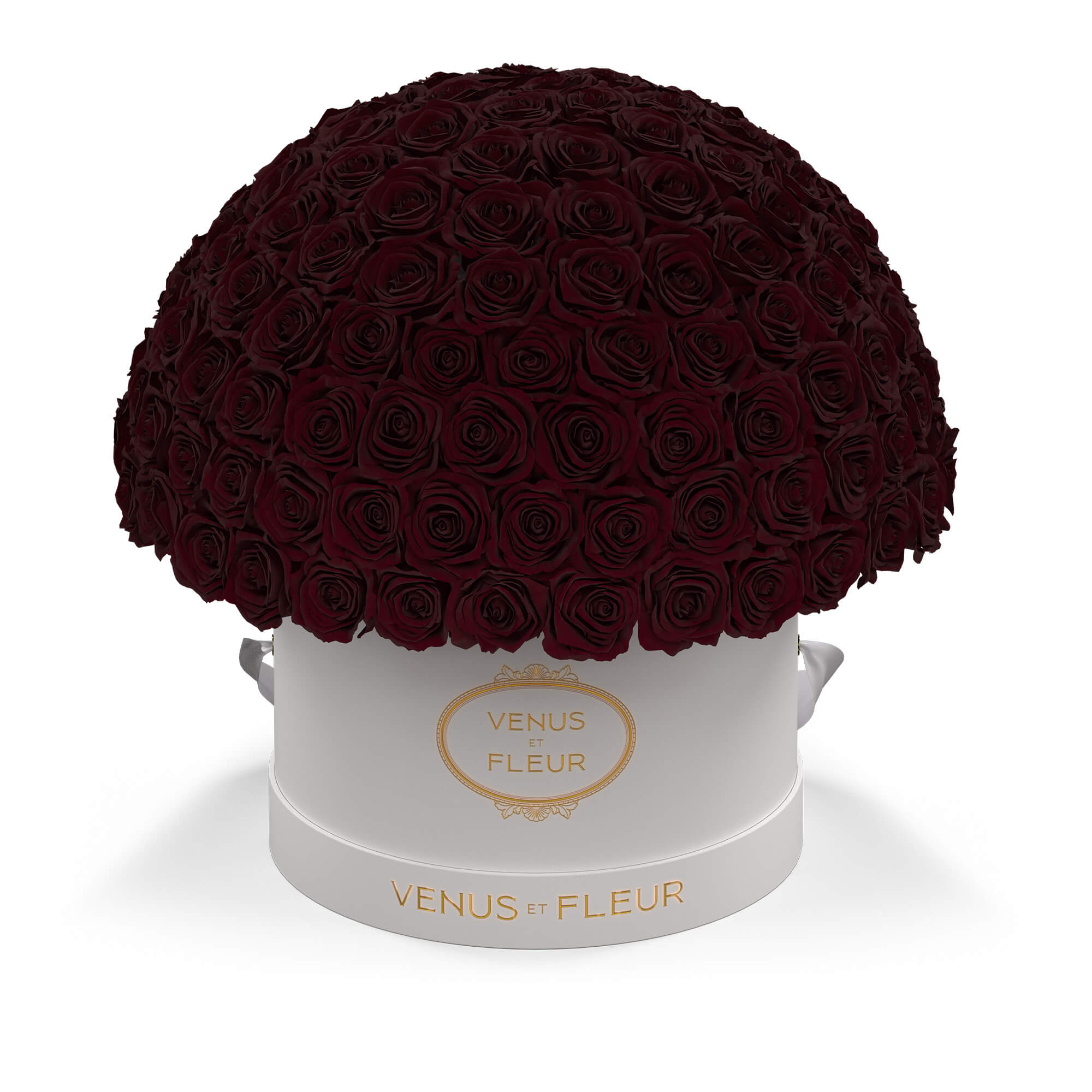 leplein-whiteclassic-roses-burgundy.jpg