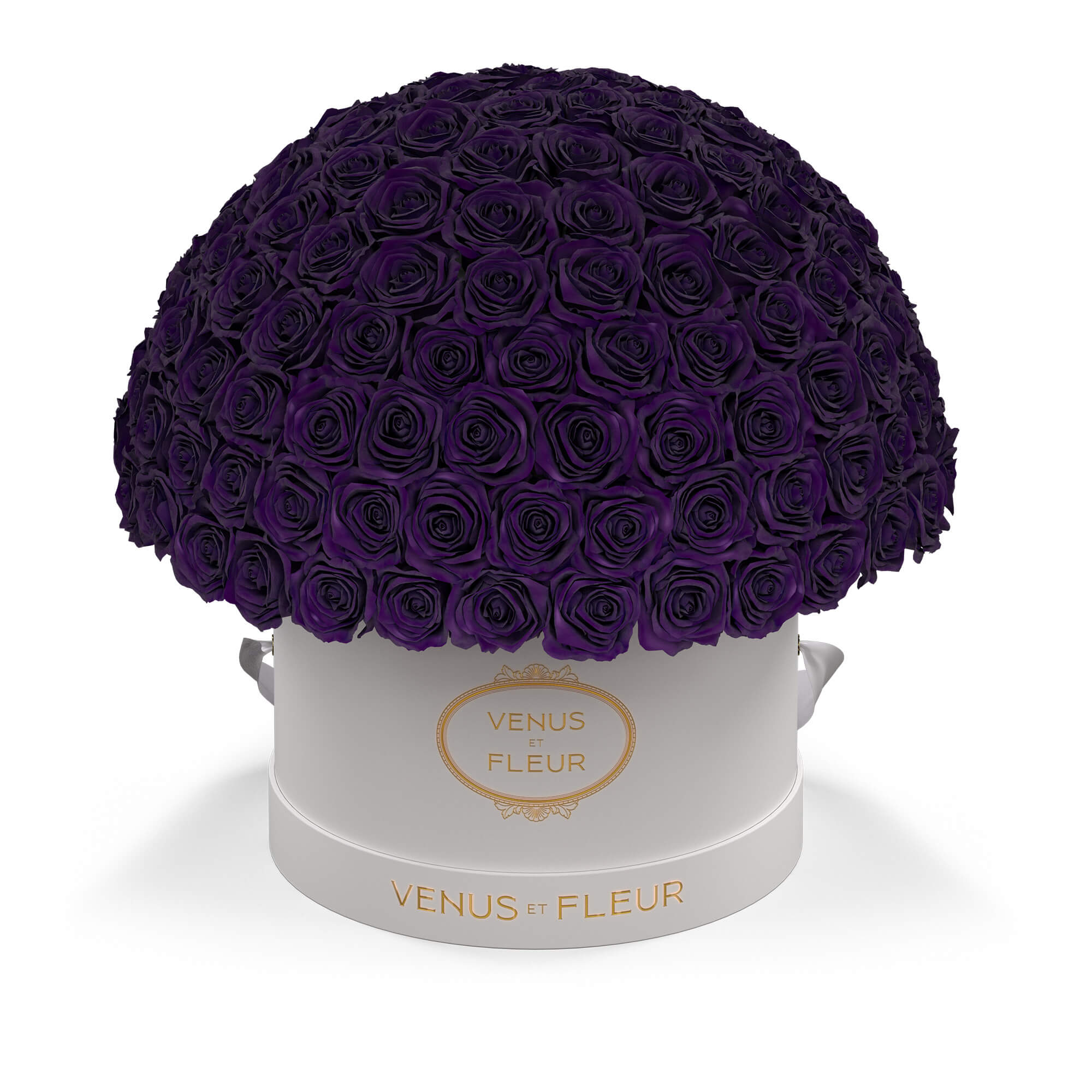 leplein-whiteclassic-roses-deeppurple.jpg