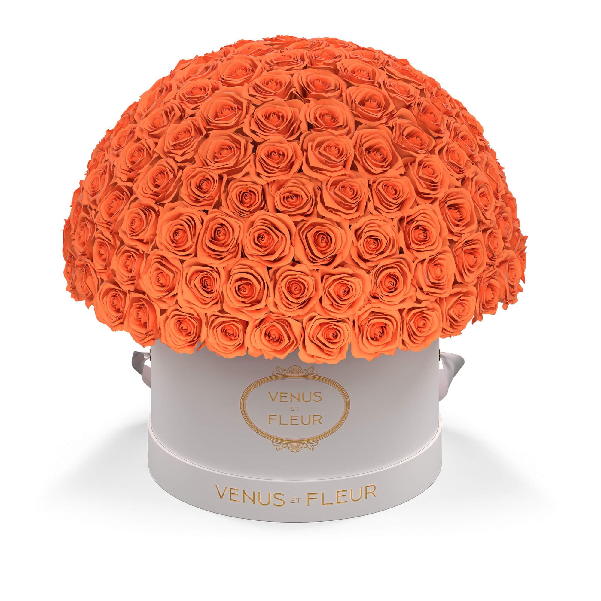 leplein-whiteclassic-roses-papaya.jpg