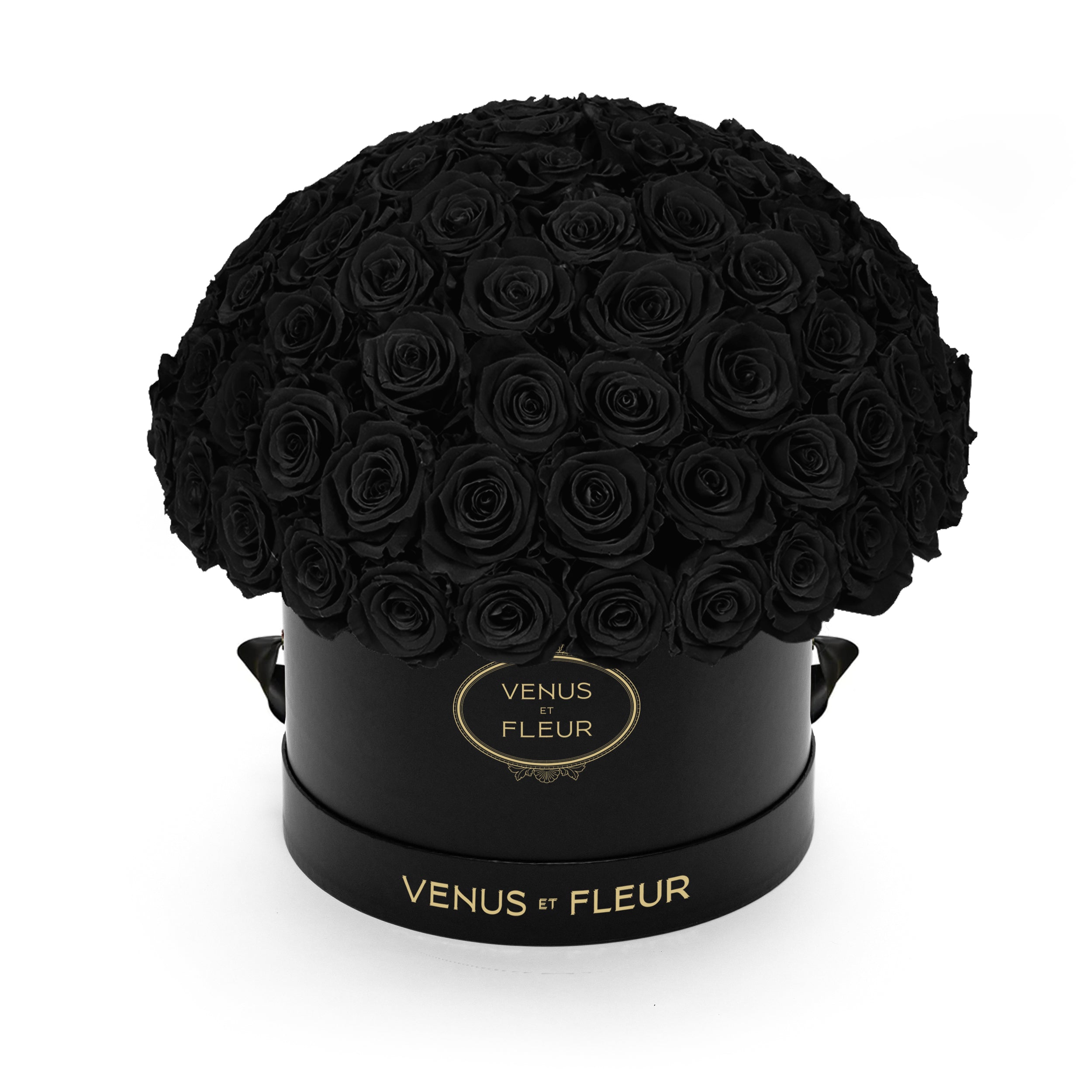 leplein_blackclassic_black.jpg