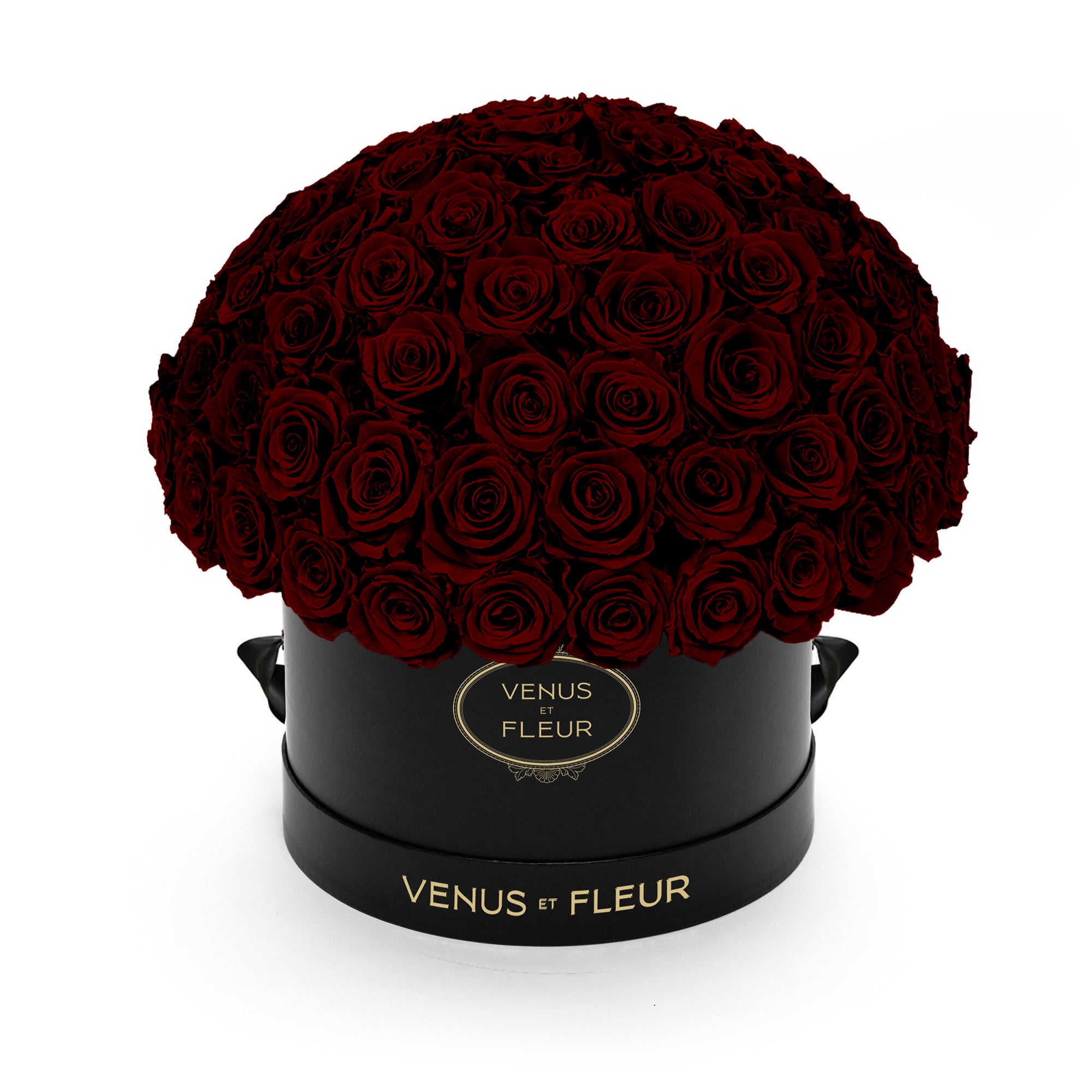 leplein_blackclassic_burgundy.jpg