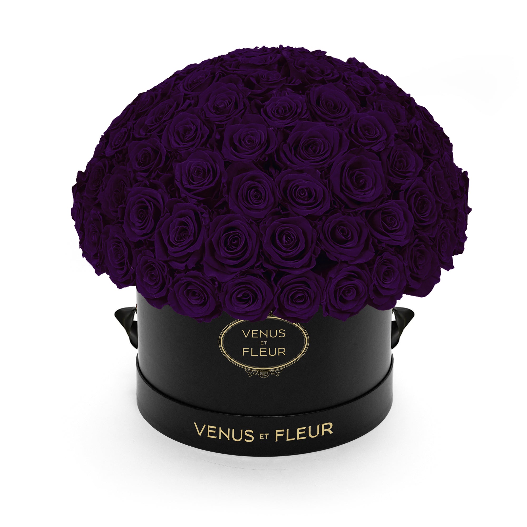 leplein_blackclassic_deeppurple.jpg