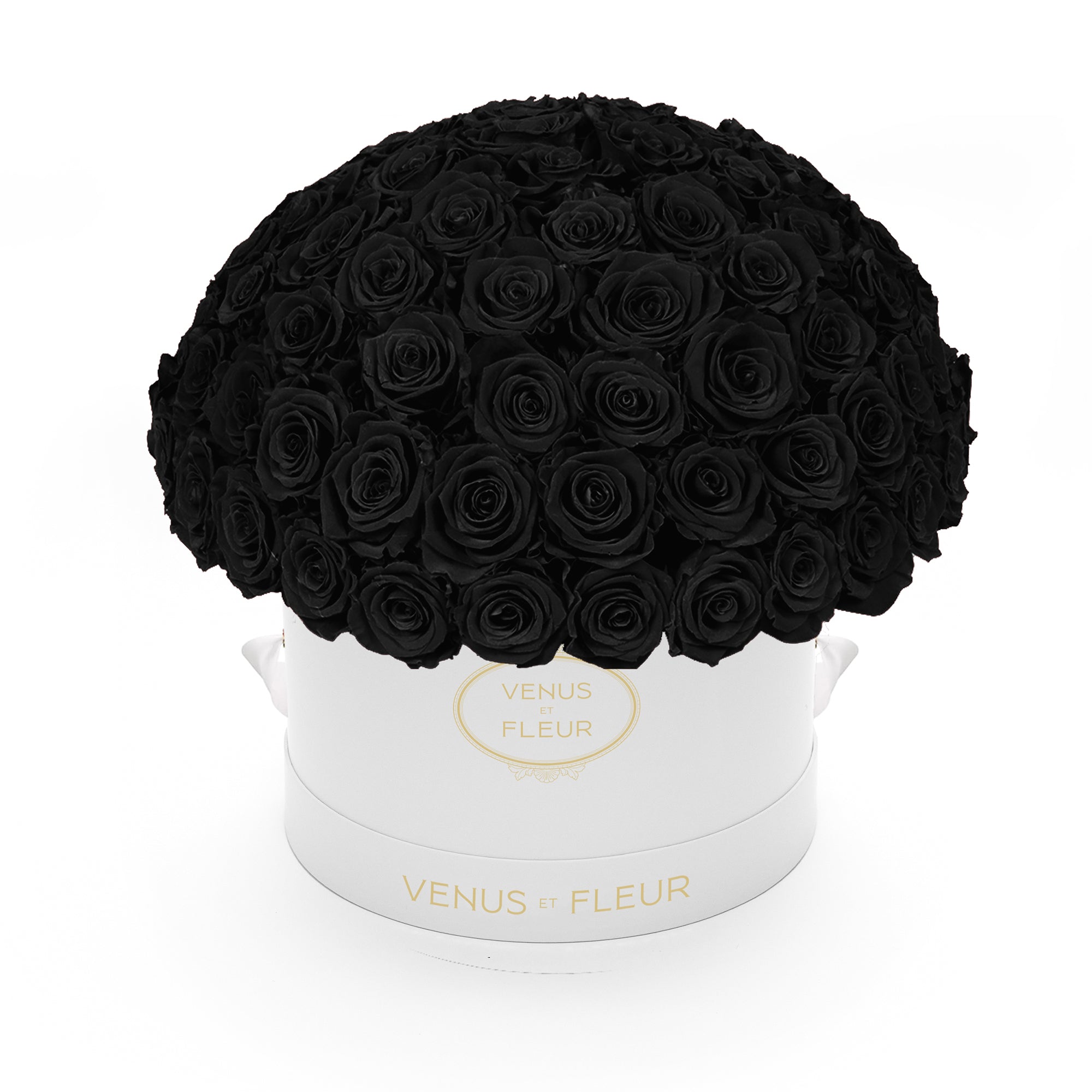 leplein_whiteclassic_black.jpg