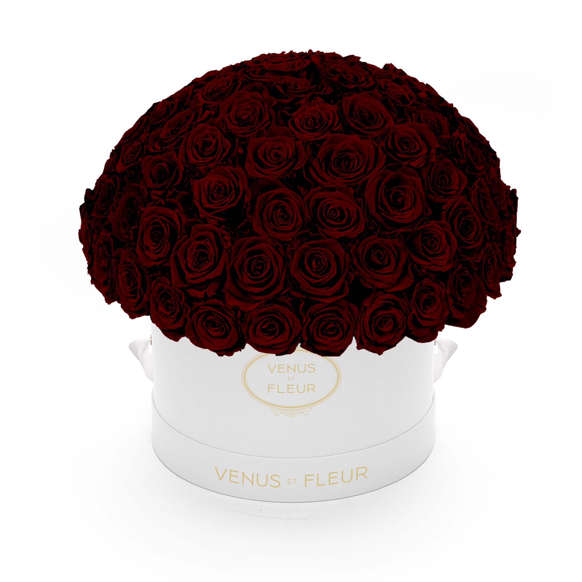leplein_whiteclassic_burgundy.jpg