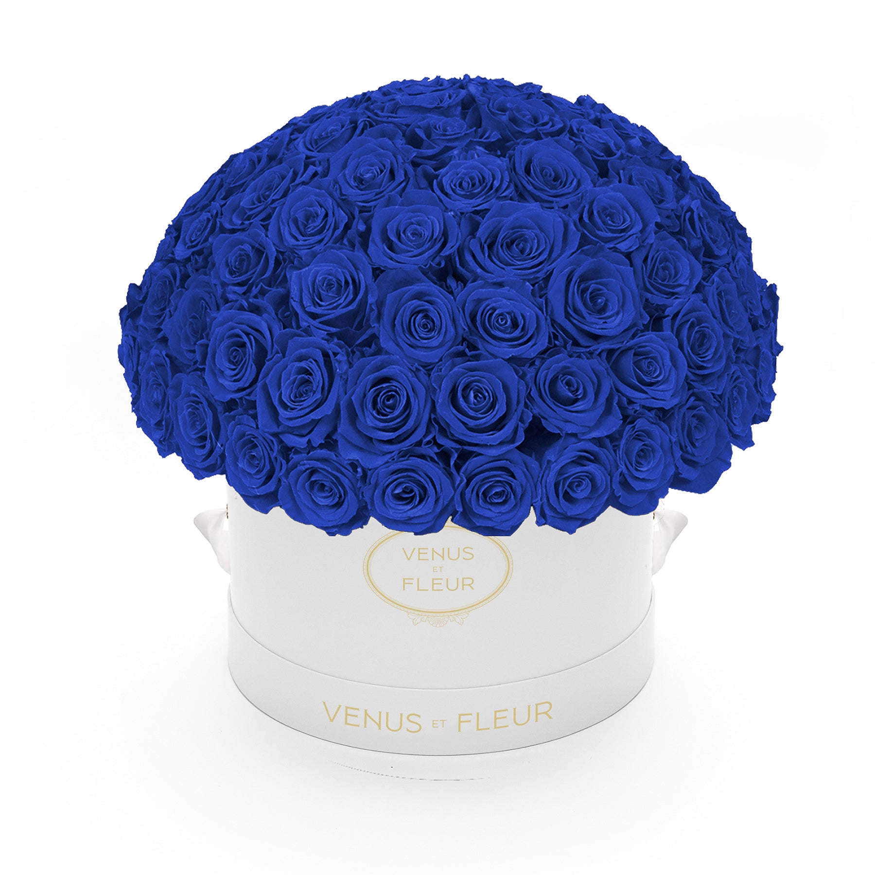 leplein_whiteclassic_deepblue.jpg