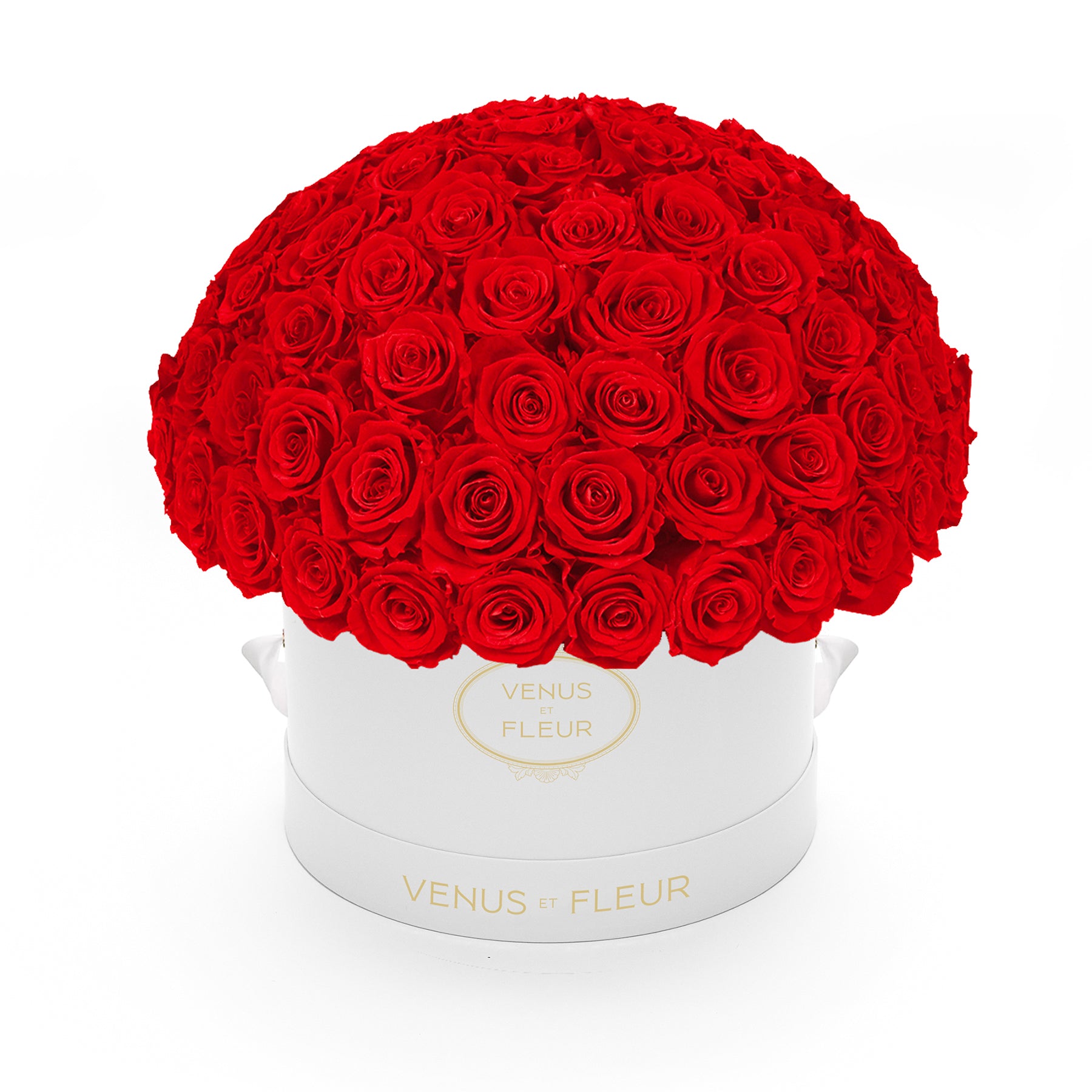 leplein_whiteclassic_red.jpg