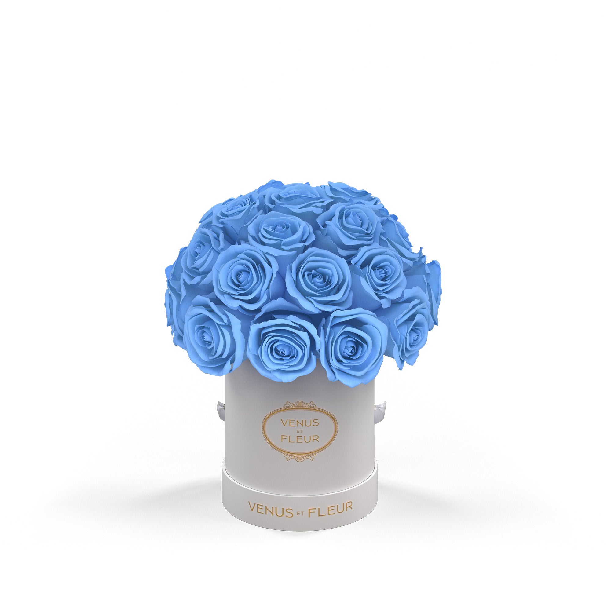 lepleinmini-whiteclassic-roses-babyblue.jpg