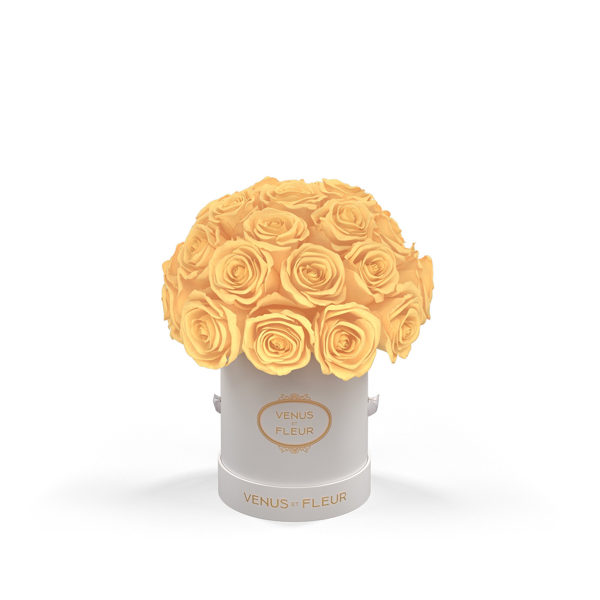 lepleinmini-whiteclassic-roses-champagne.jpg