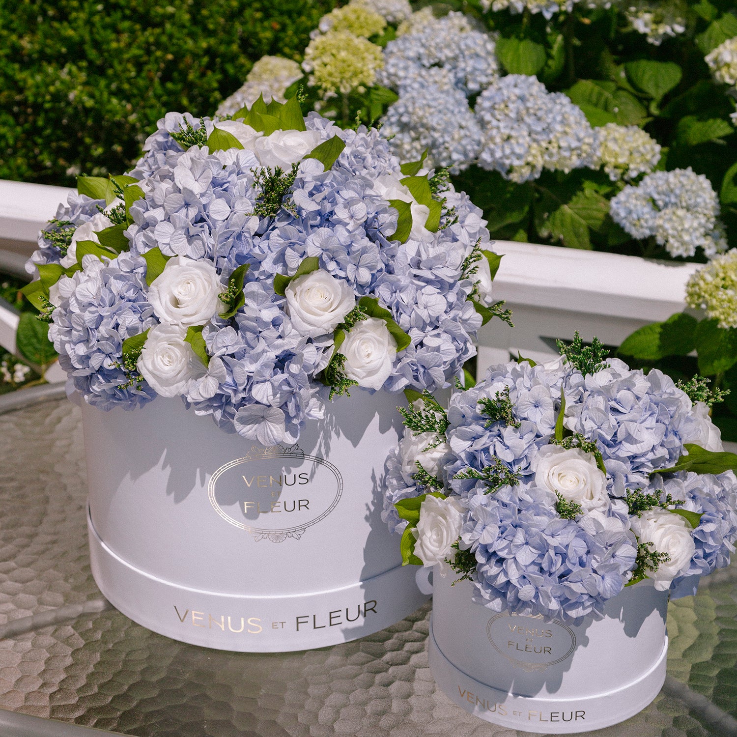 lgrd_hydrangea_life1.jpg