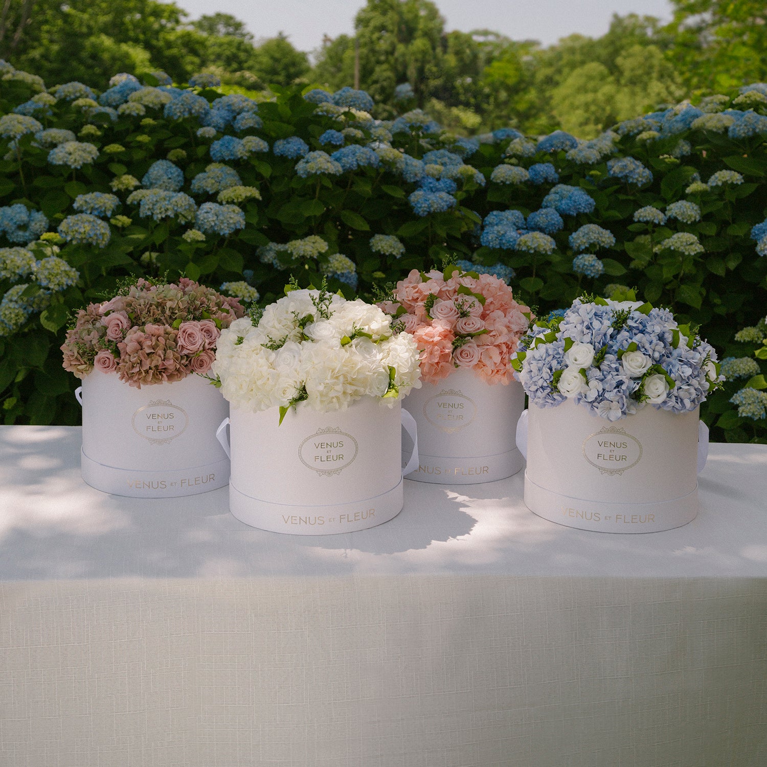 lgrd_hydrangea_life2.jpg