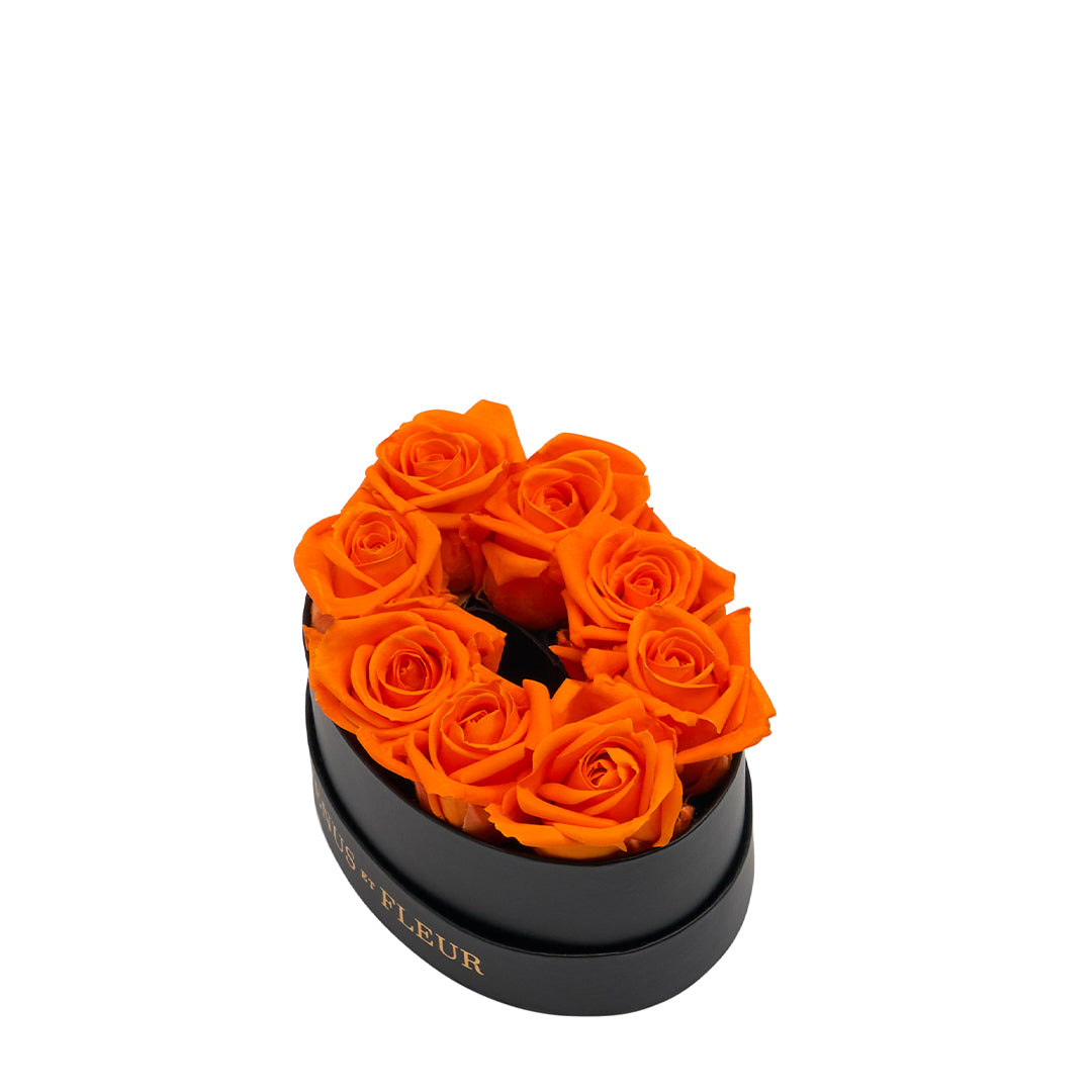 orange_05f2d309-503e-46e5-8bf5-c20ff031f756.jpg