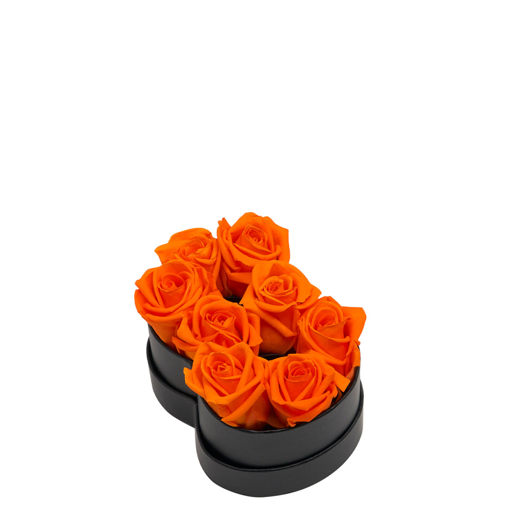 orange_195e2155-5363-4ac5-aa13-9510705e8fb5.jpg