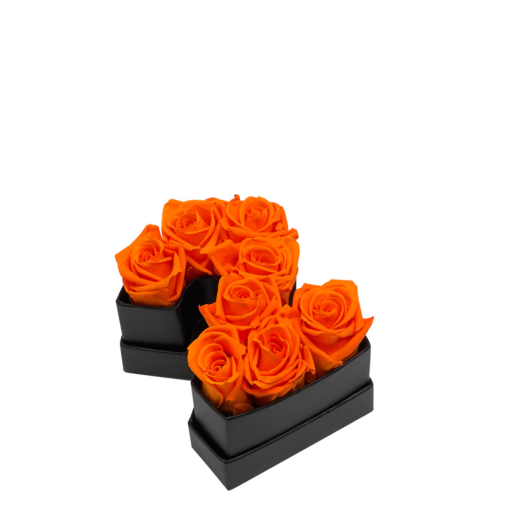 orange_24b55d7e-3c12-4c8f-971d-a755733eb768.jpg