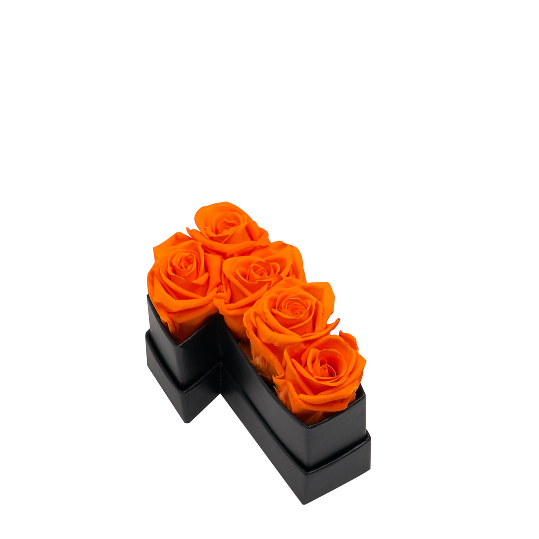 orange_d8112981-3567-46b4-a4e8-889fc9655c0a.jpg