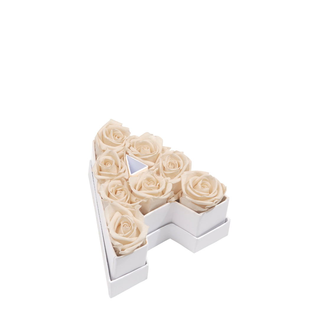 pearl_efd93255-4b5a-4940-8e27-b18f1c7f7df4.jpg