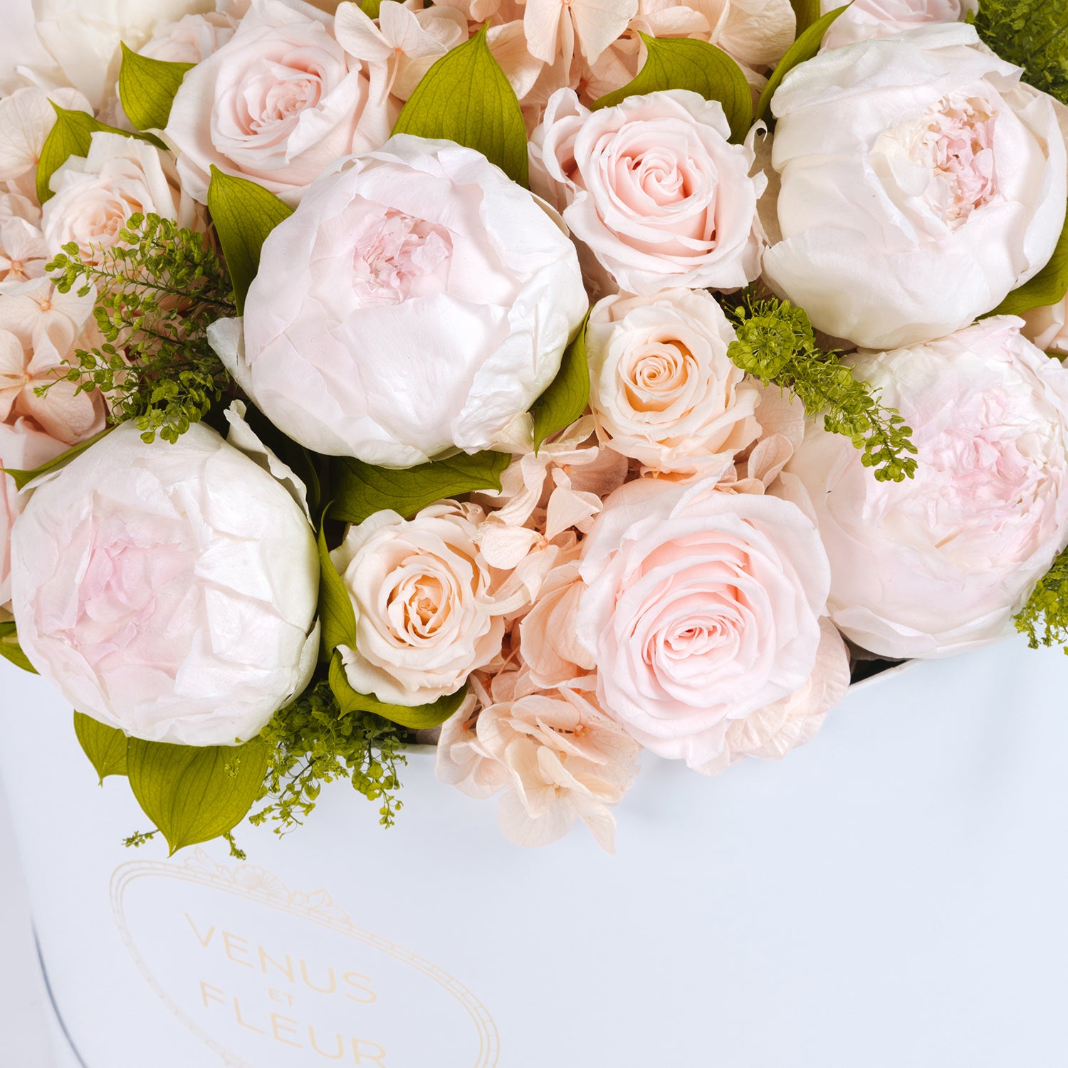 peonies_hp2.jpg