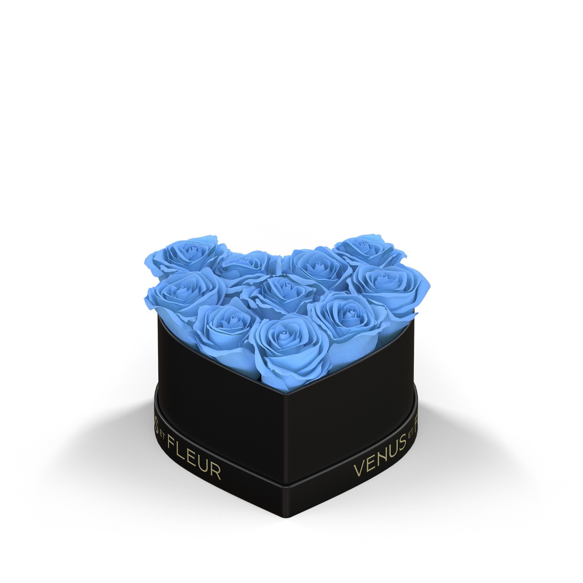 petitheart-blackclassic-roses-babyblue.jpg