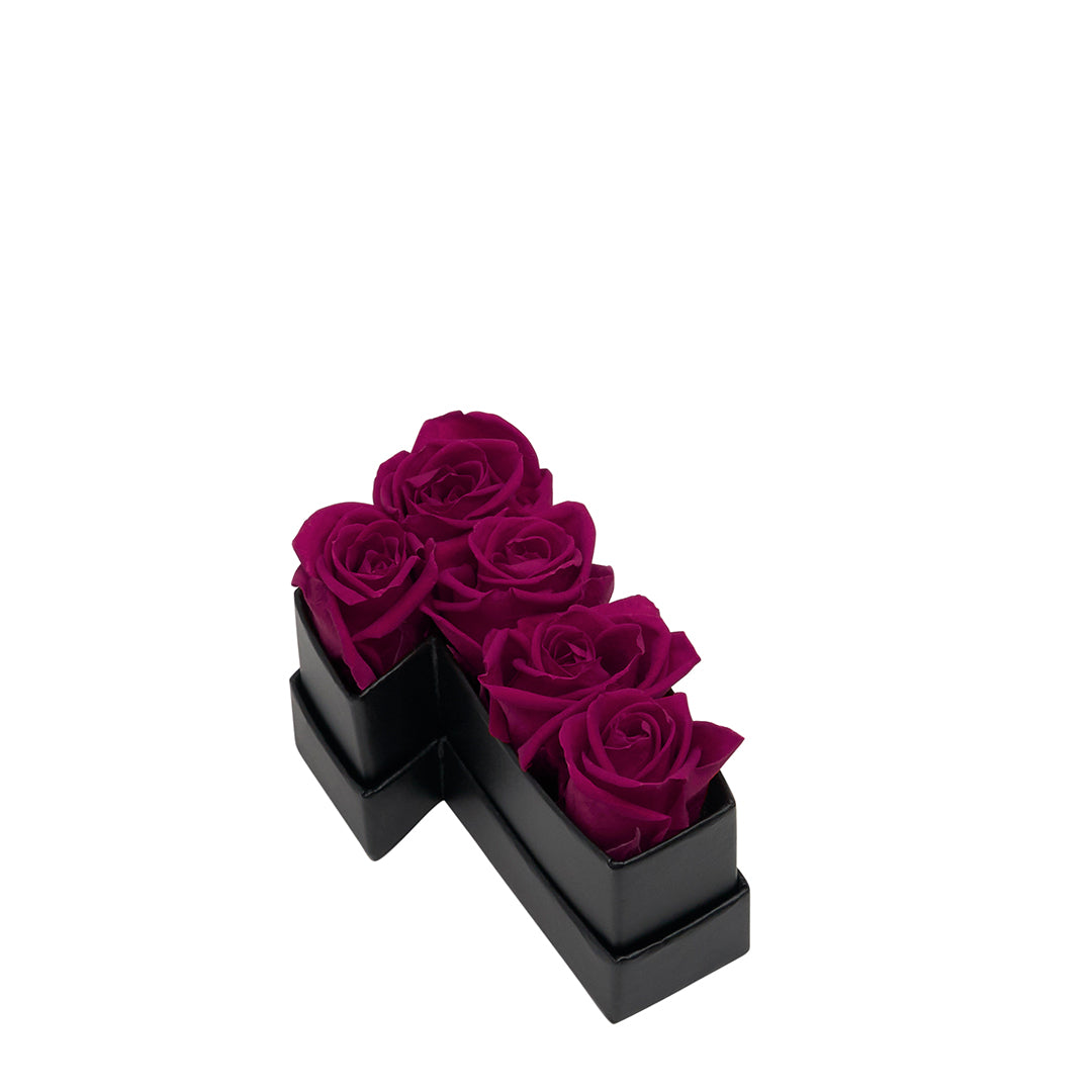 plum_8c34f50a-c7f0-4ae9-82c9-e19aea380ec1.jpg