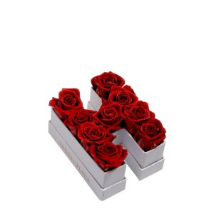 Le Mini Letter – H