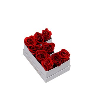 Le Mini Letter – E