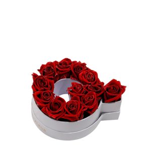 Le Mini Letter – Q