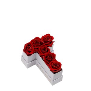 Le Mini Letter – T