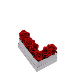 Le Mini Letter – L