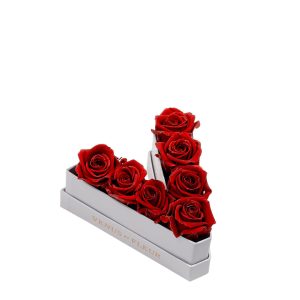 Le Mini Letter – V