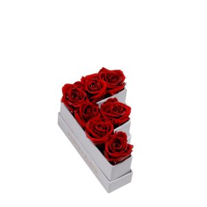 Le Mini Letter – F