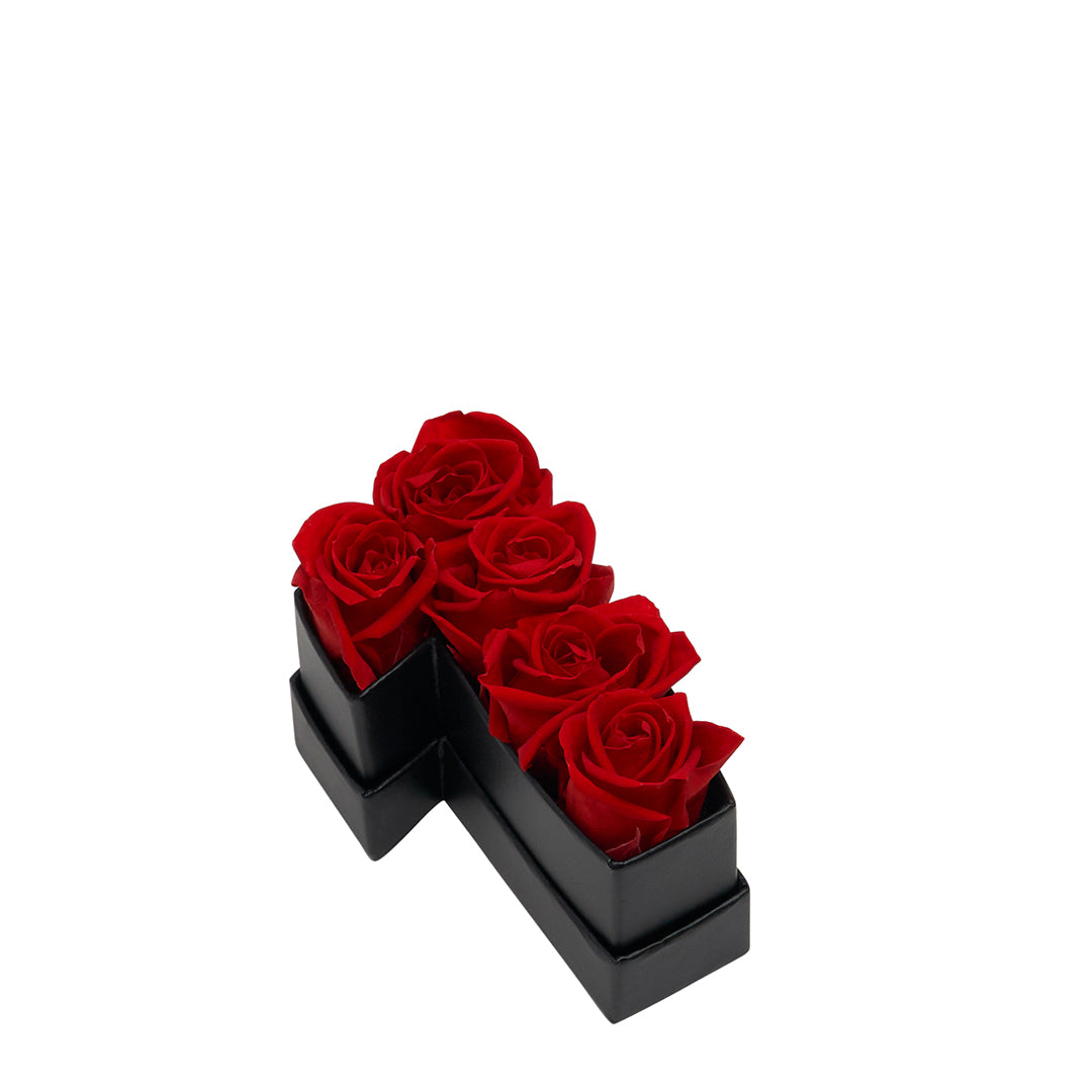 red_8c9f1334-3203-4164-9fb3-aa8a9c12ec0b.jpg