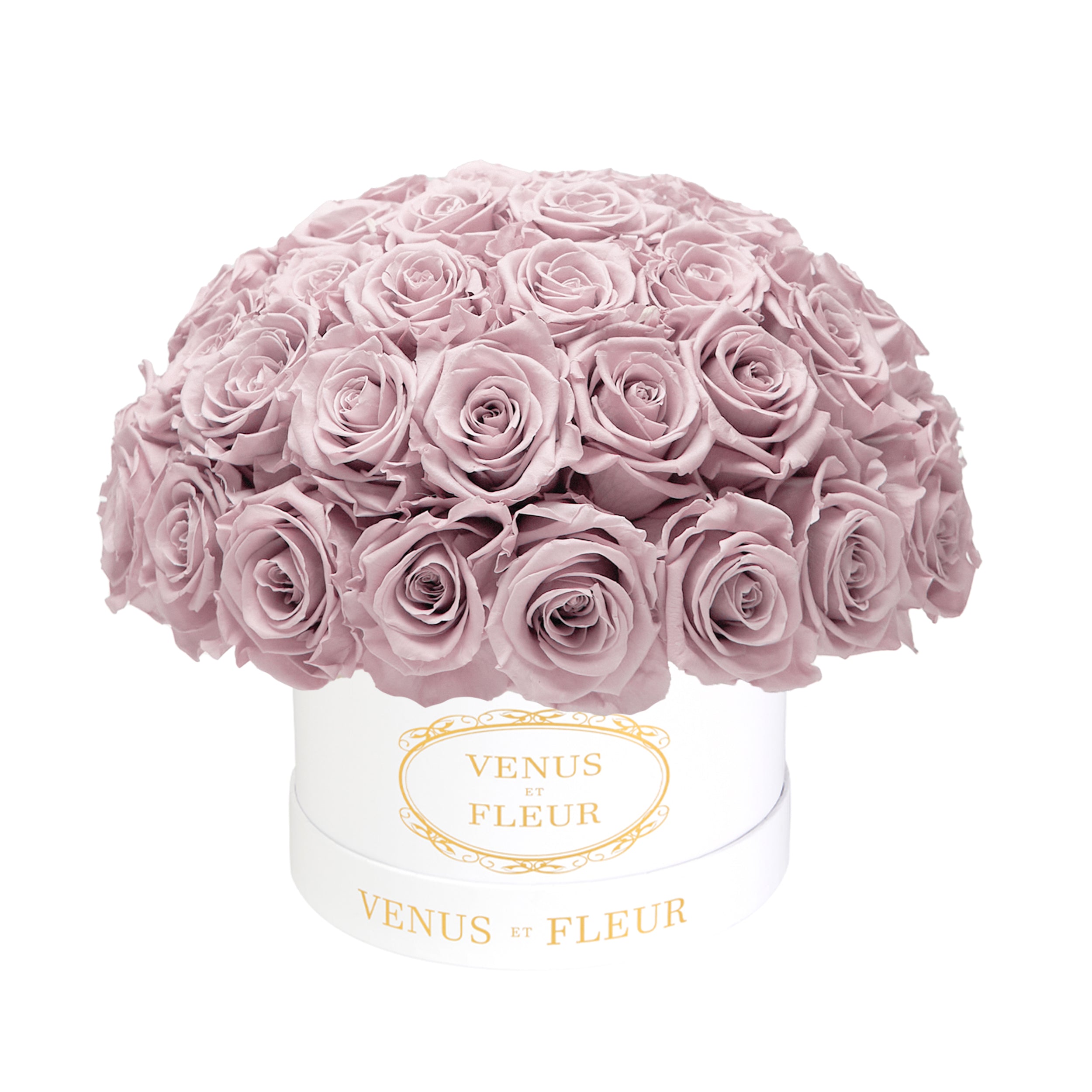 small_le_plein_white_classic_dusty_rose.jpg