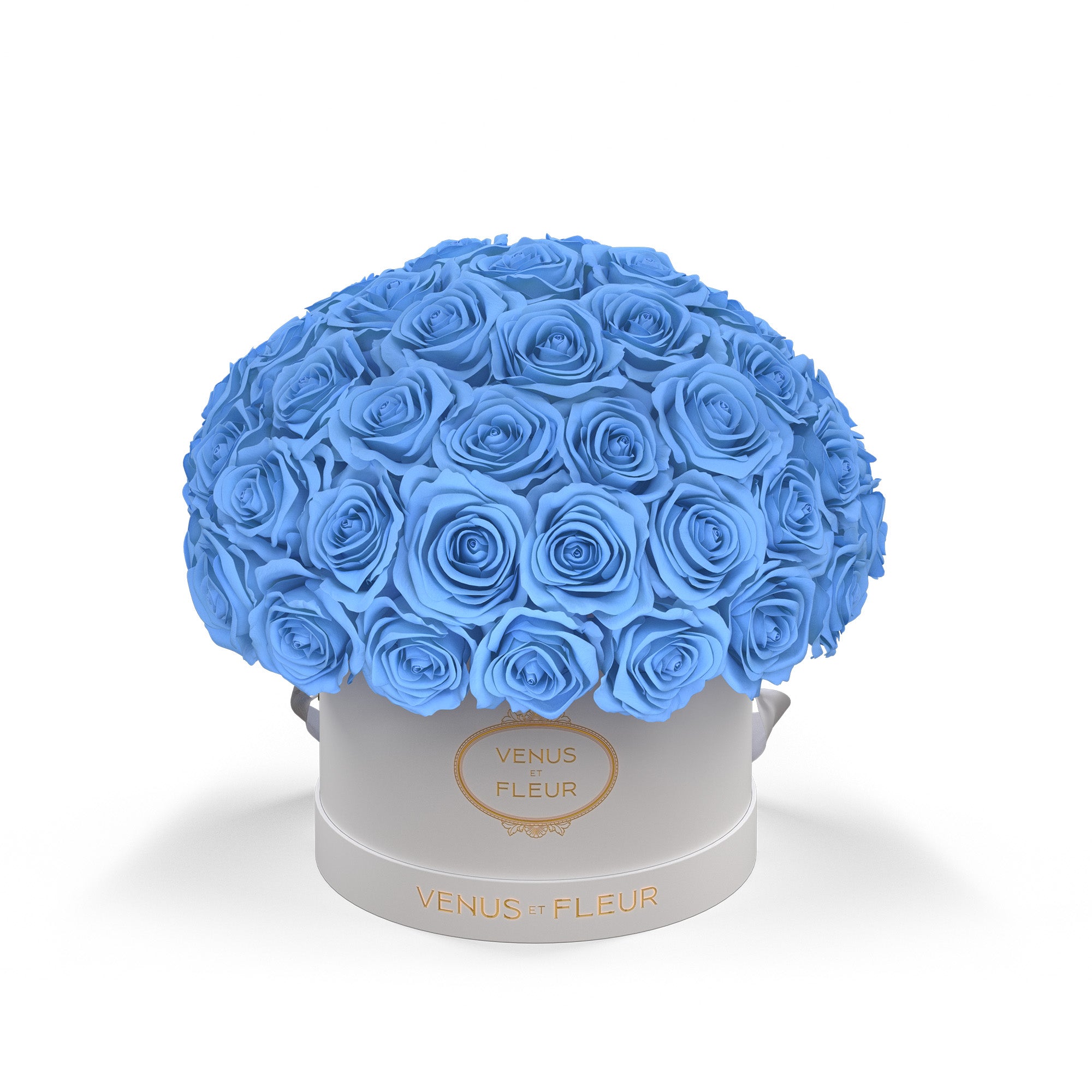 smallleplein-whiteclassic-roses-babyblue.jpg
