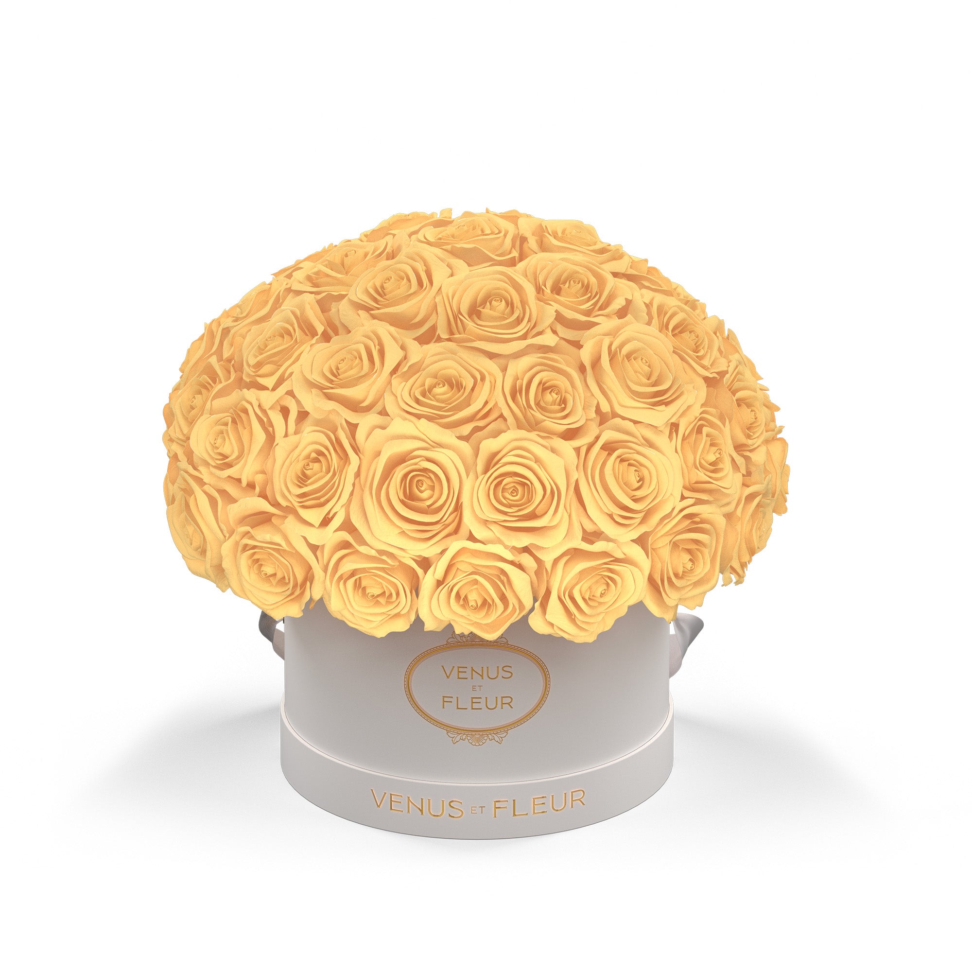 smallleplein-whiteclassic-roses-champagne.jpg