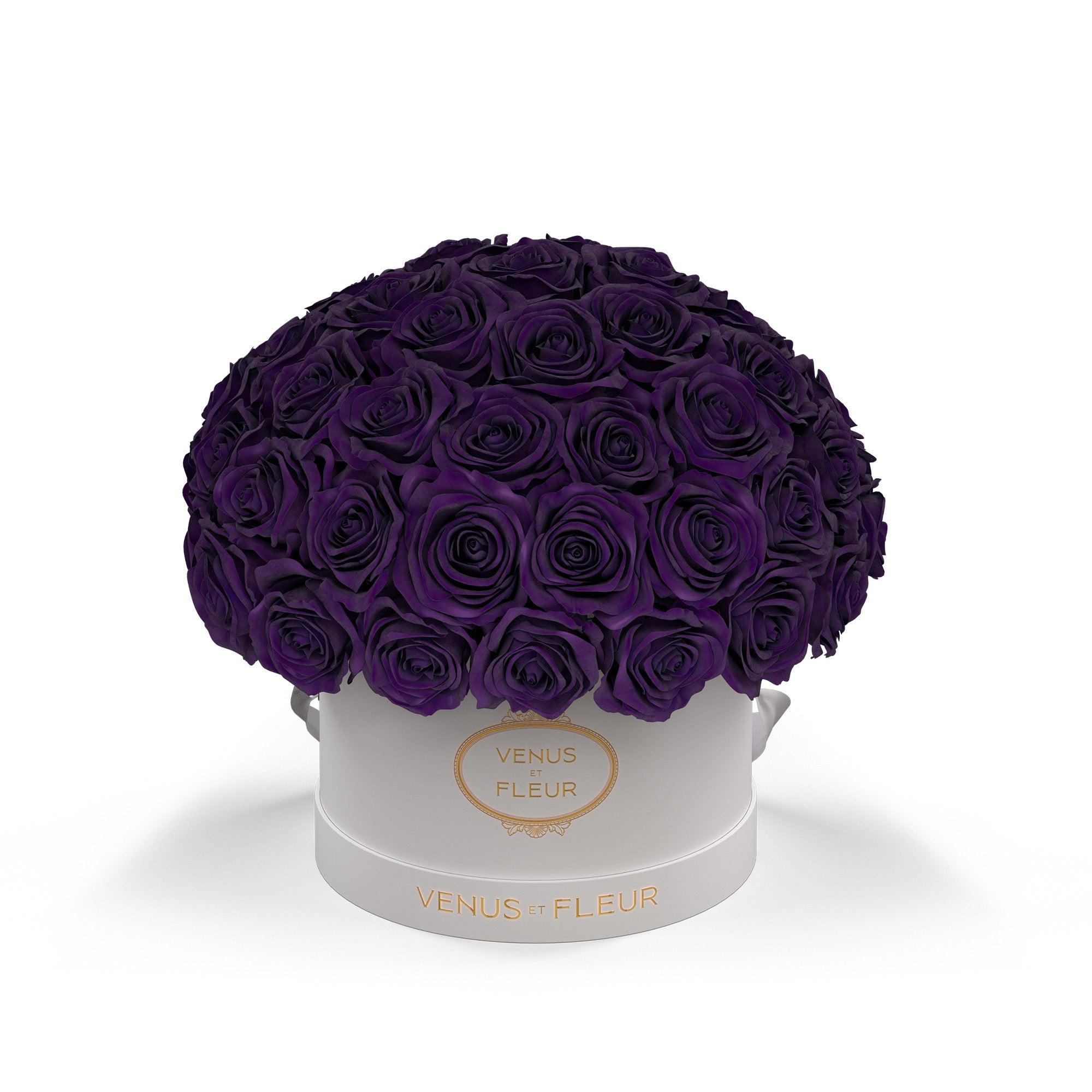 smallleplein-whiteclassic-roses-deeppurple.jpg