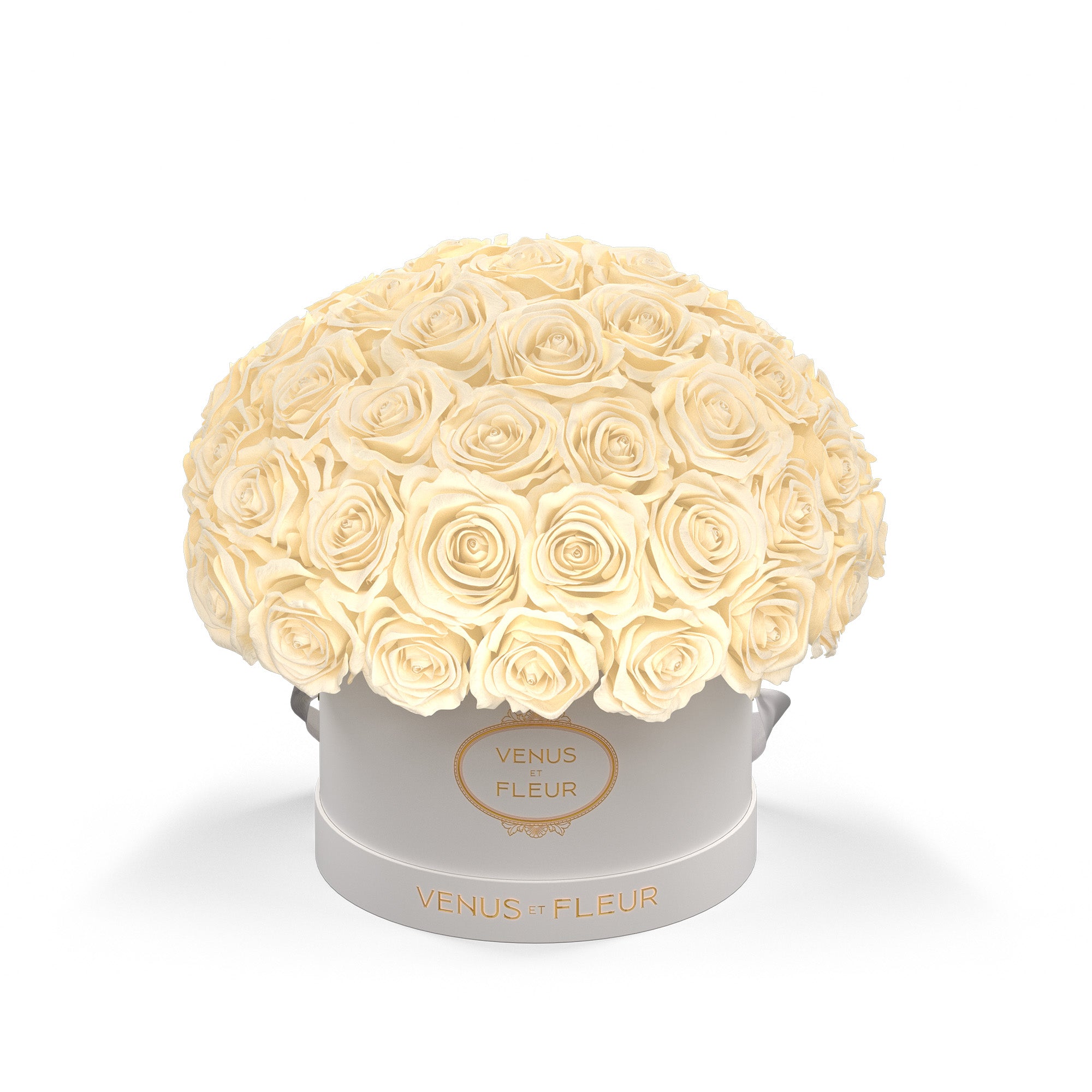 smallleplein-whiteclassic-roses-pearl.jpg