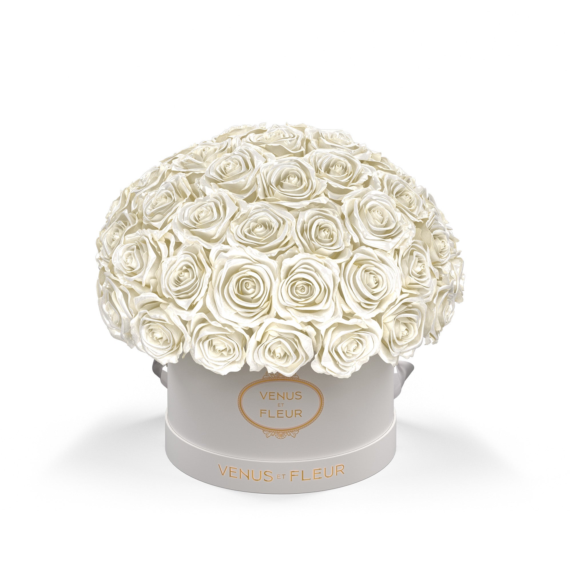 smallleplein-whiteclassic-roses-pearlsheen.jpg