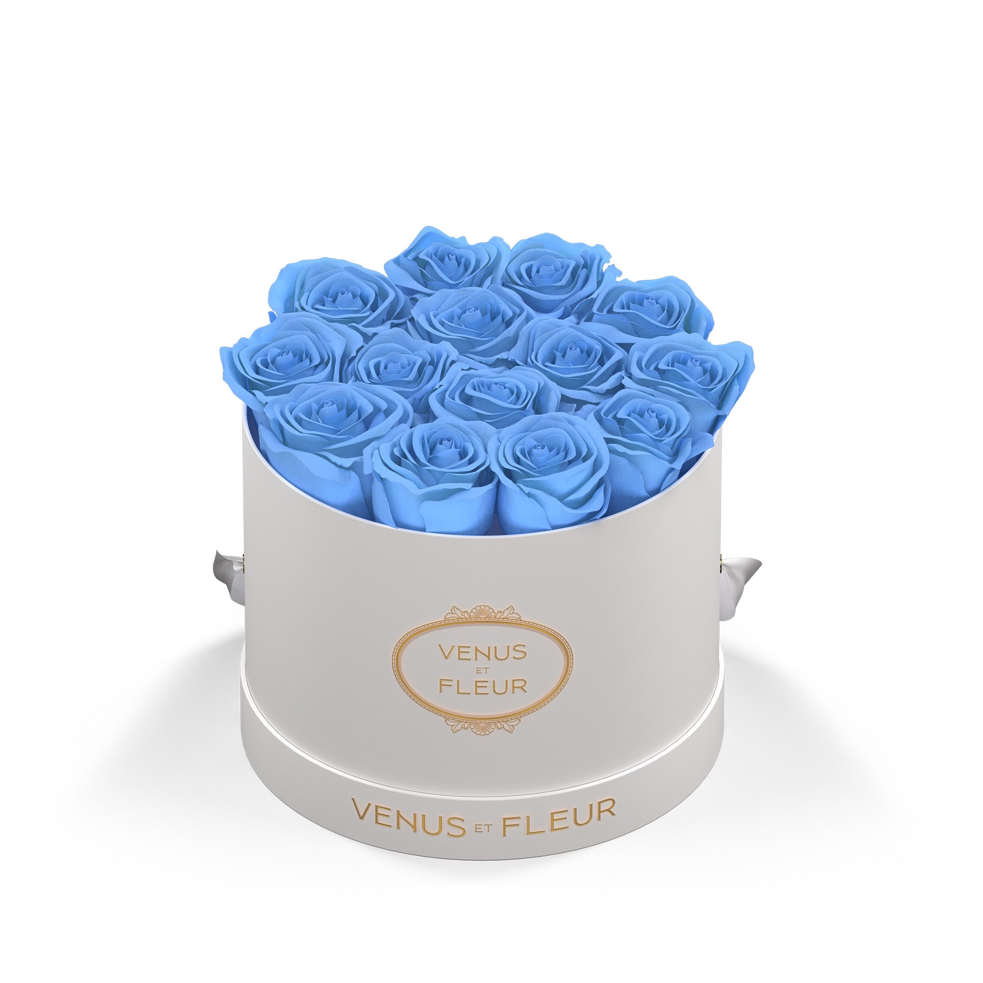 smallround-whiteclassic-roses-babyblue.jpg