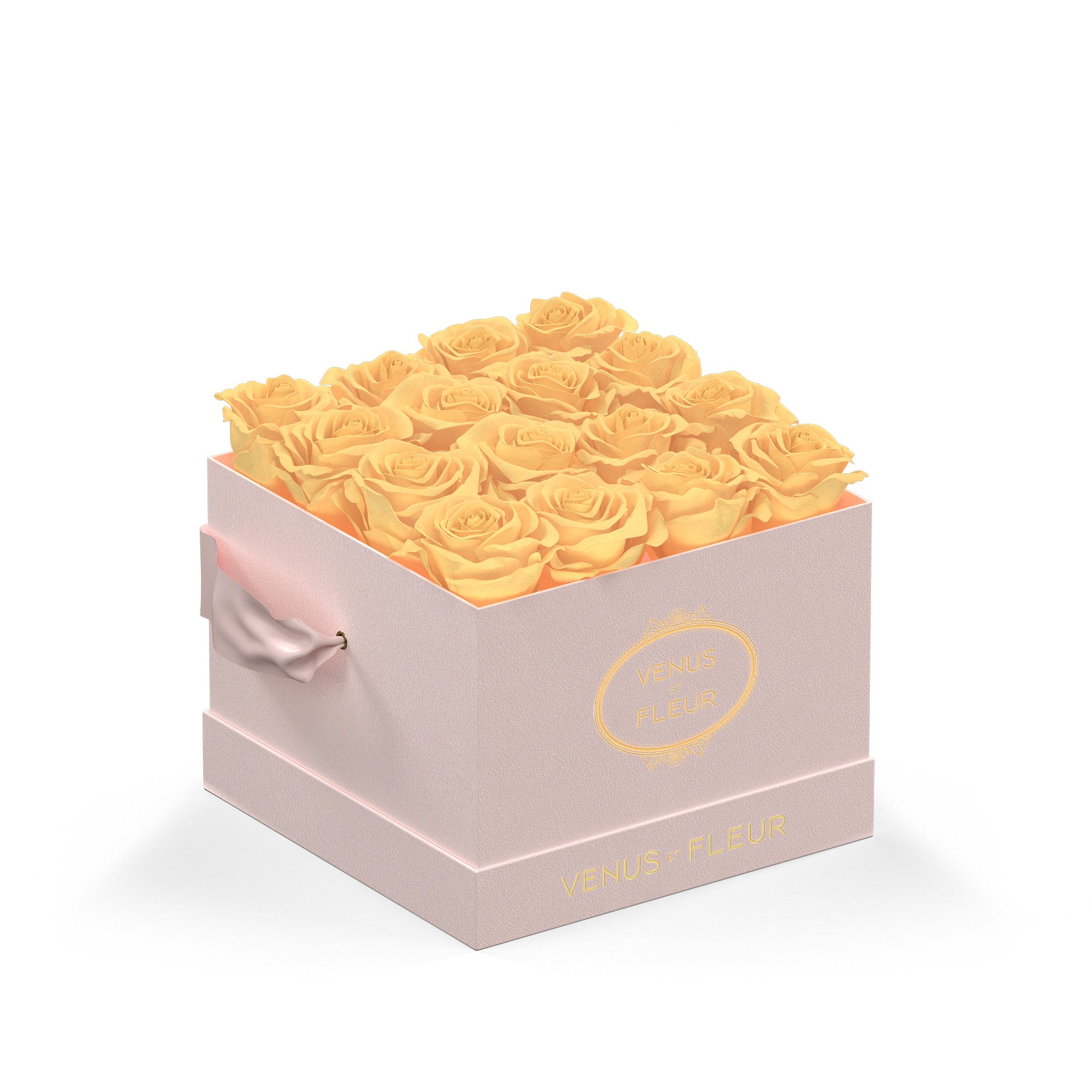 smallsquare-blushsuede-roses-champagne.jpg